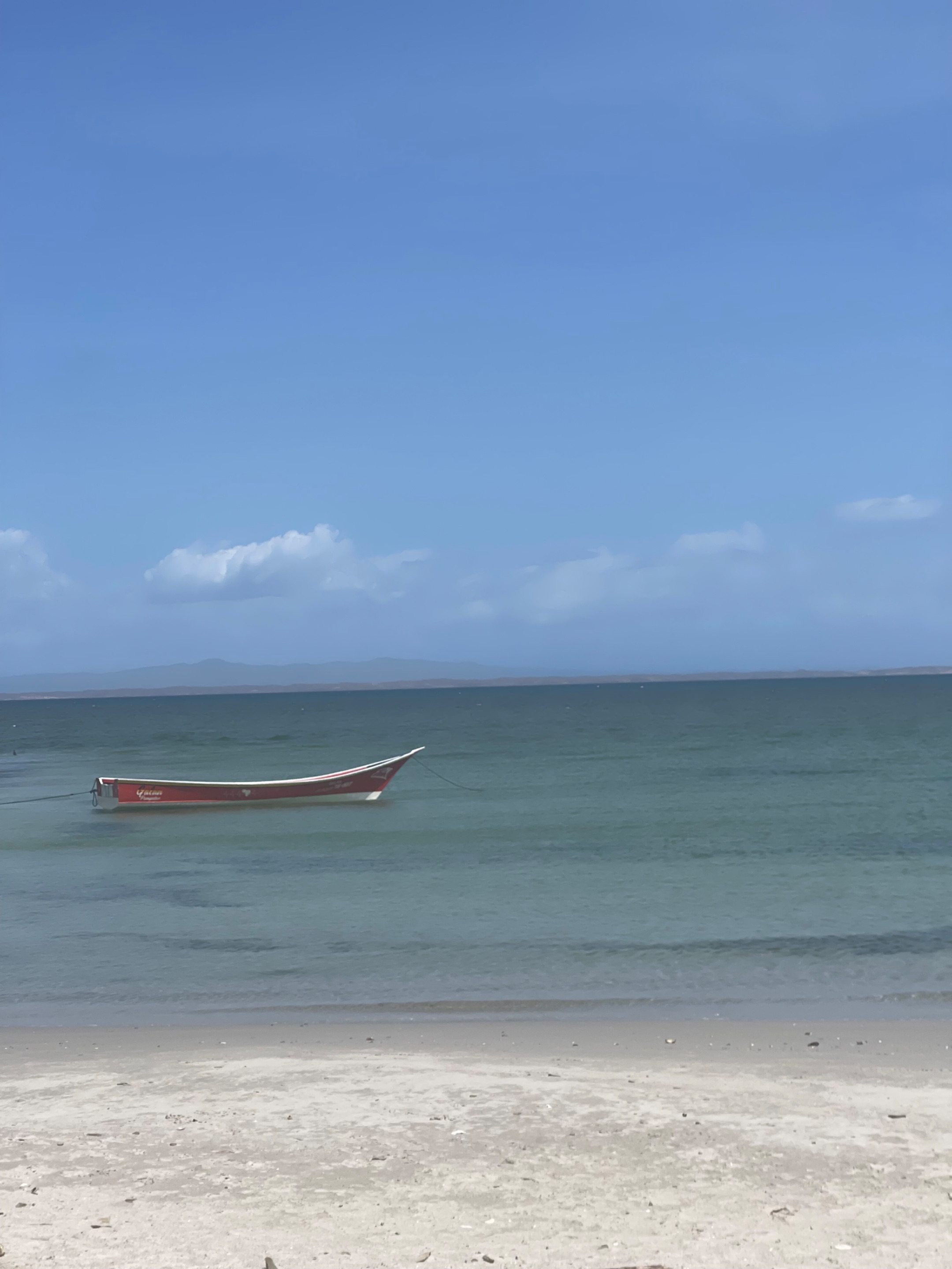 IMG_1731.jpeg