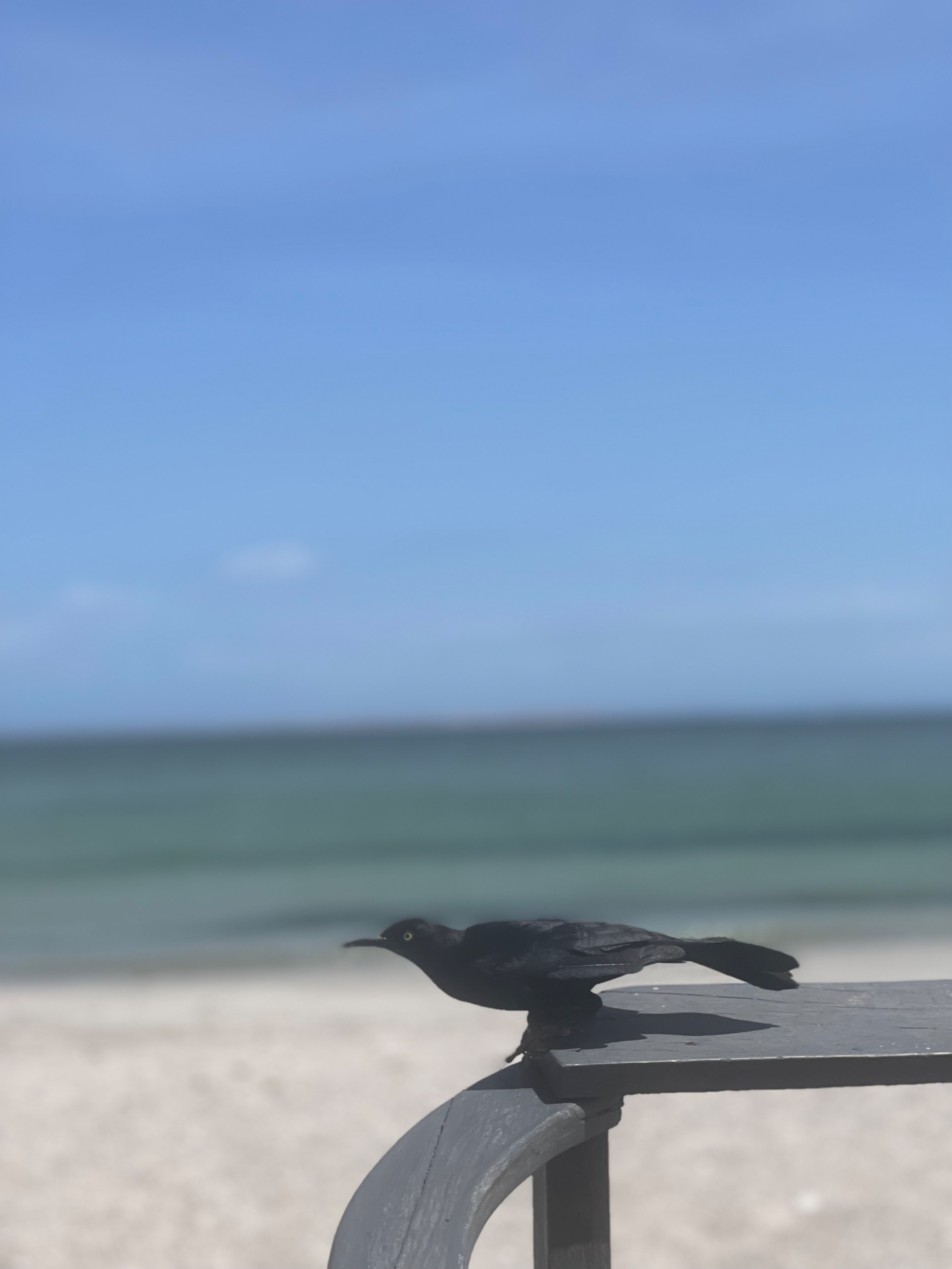 IMG_1735.jpeg