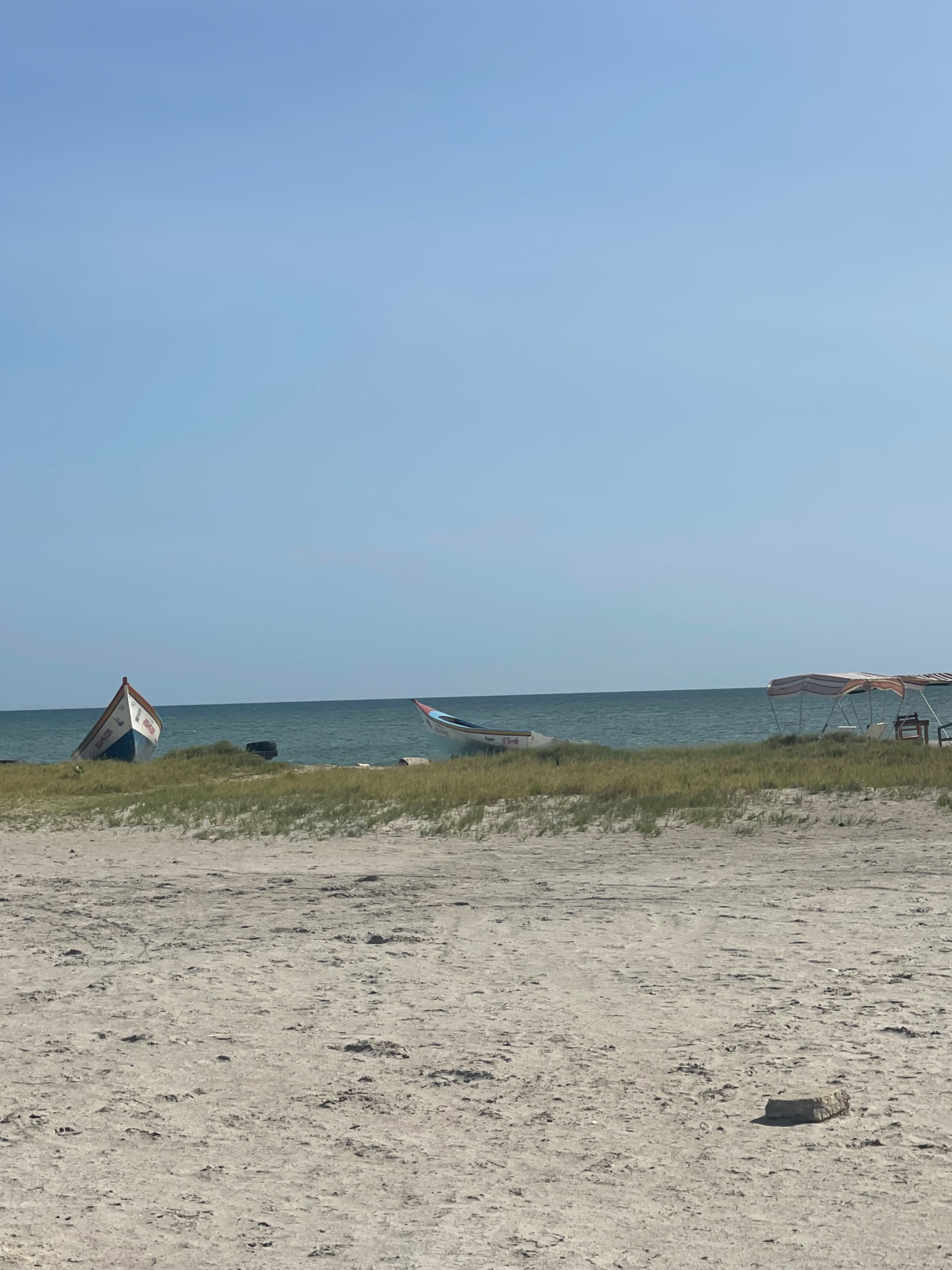 IMG_1747.jpeg