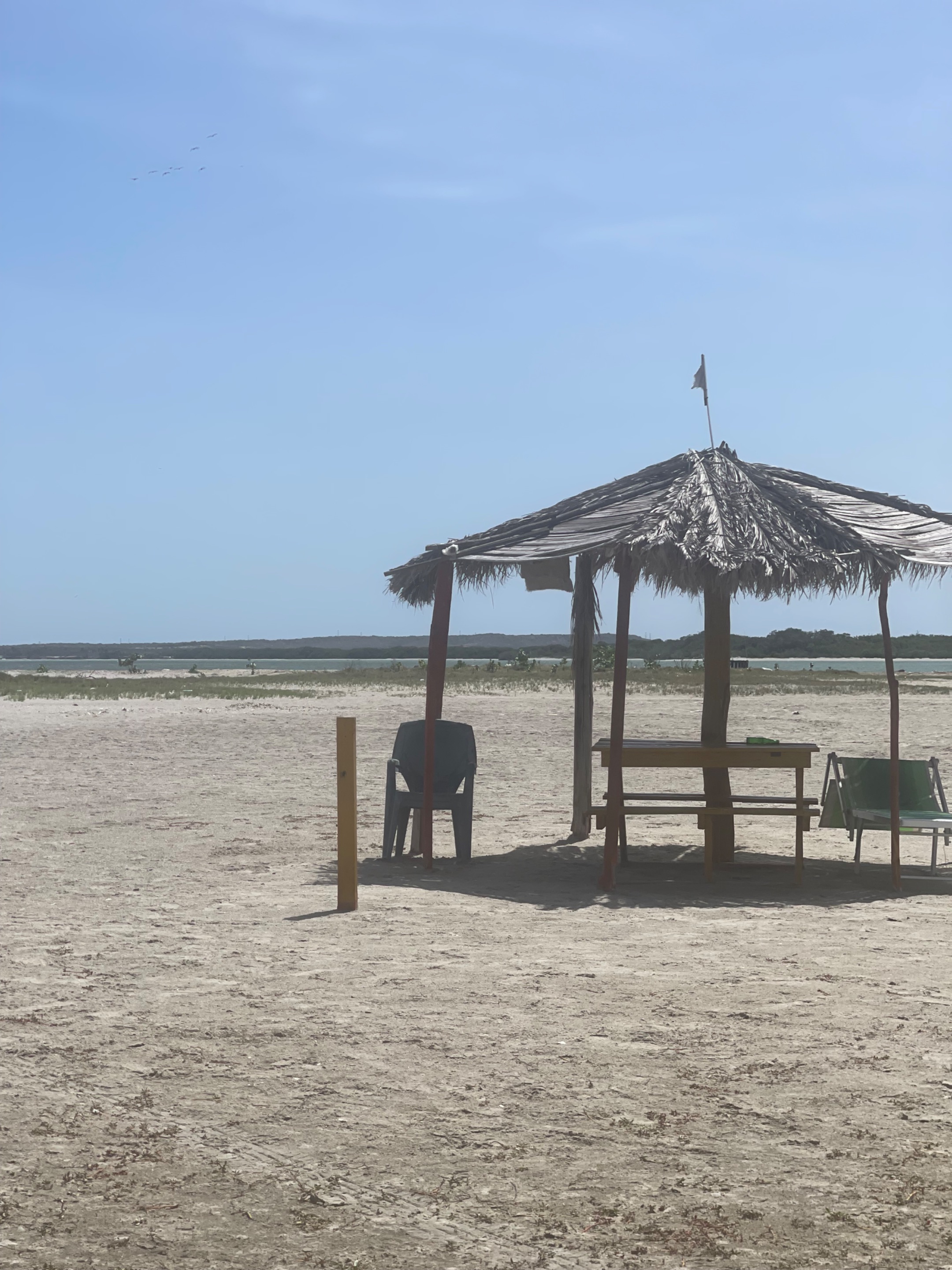 IMG_1730.jpeg