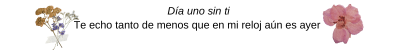 Día uno sin ti.png
