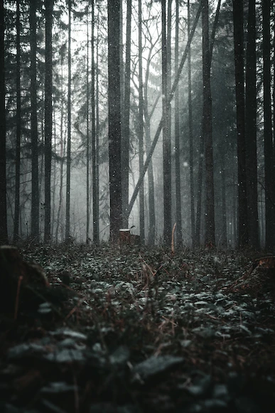 23xKhk1qANW4QEFeNqRTRAXJST1zPoWe64hkyWktec2Unhgmc5E1dbDR8L5GjwuQnG5Up.png