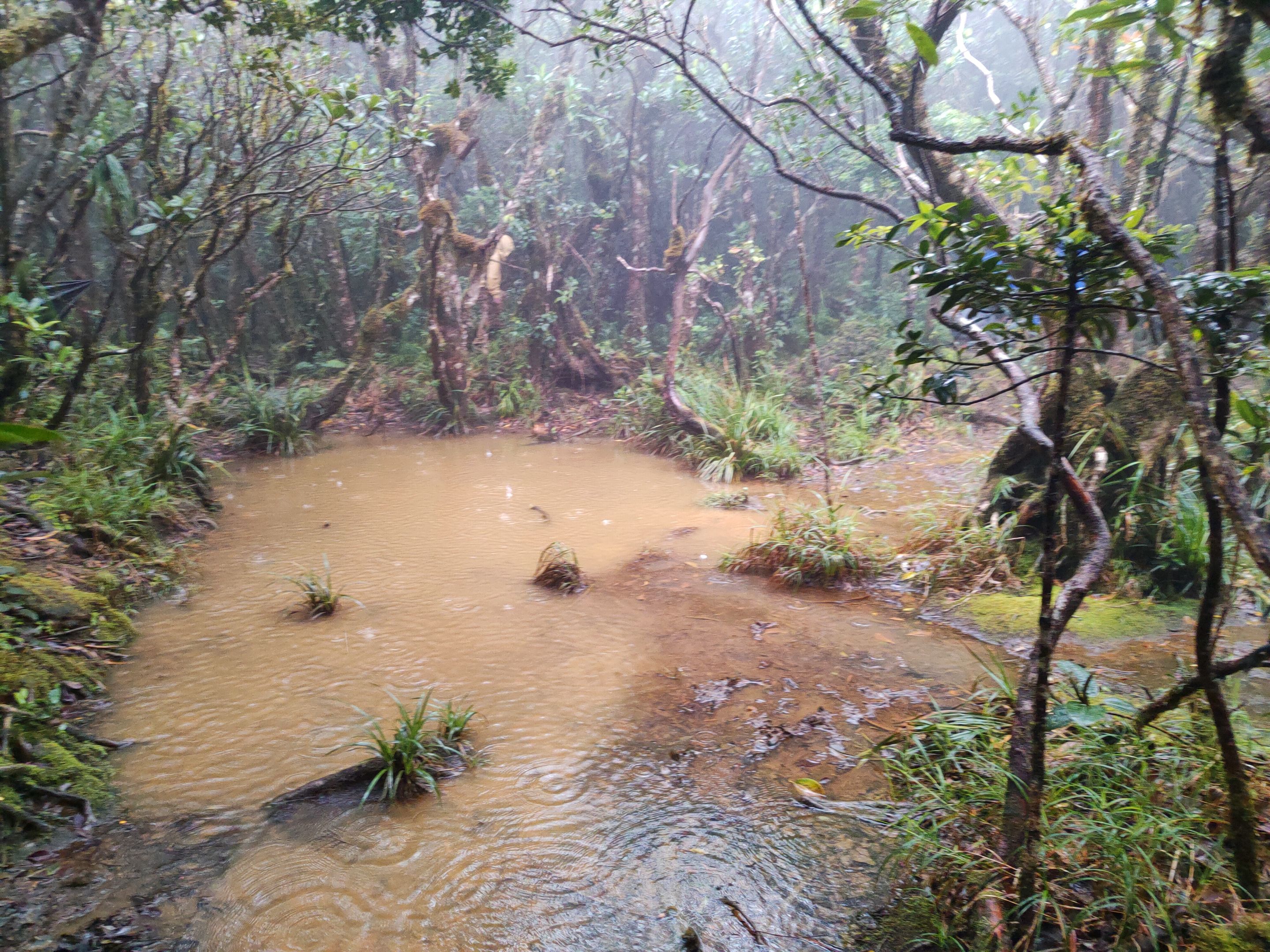 Either let your tent swim in puddles or lie uncomfortably over roots