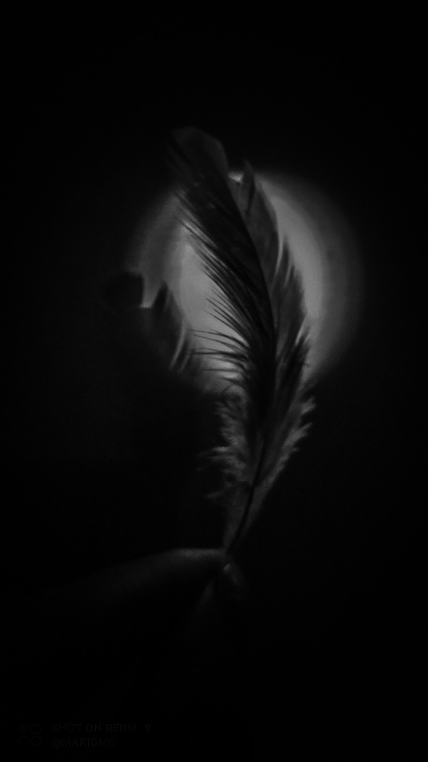 PSX_20211108_194630.jpg