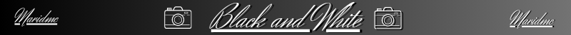 20230505_200305_0000.png