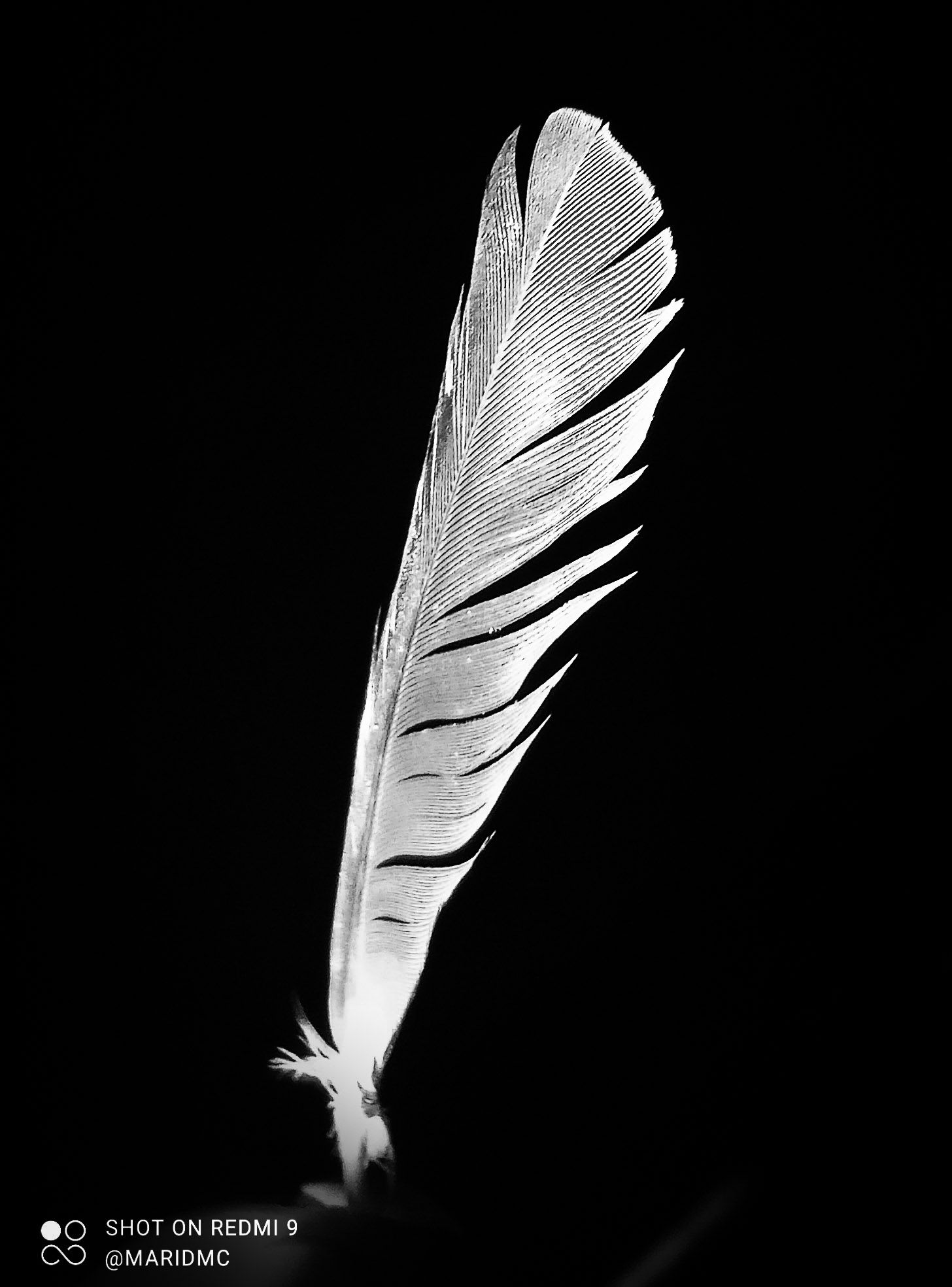 PSX_20211108_194453.jpg