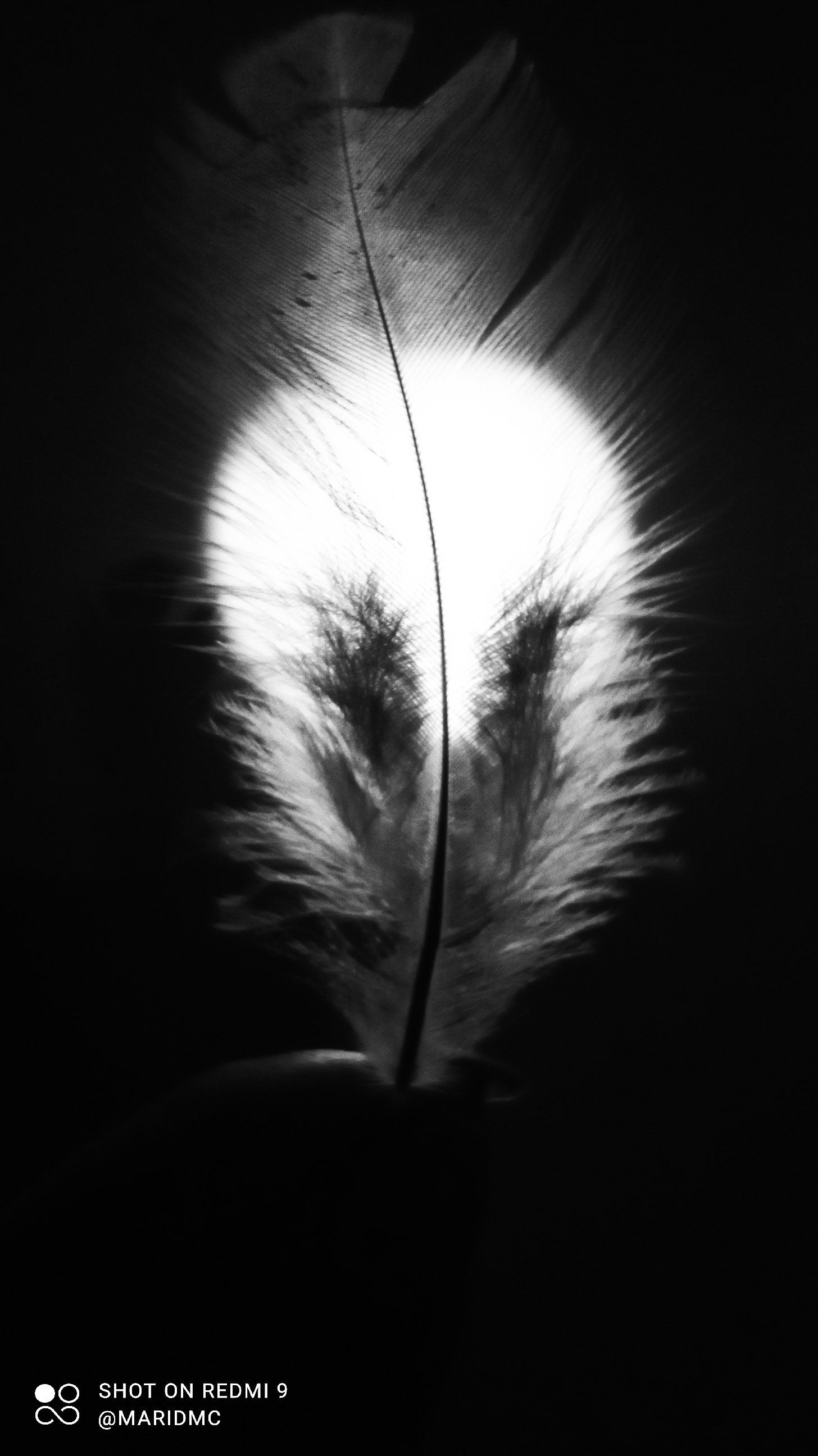 PSX_20211108_213308.jpg