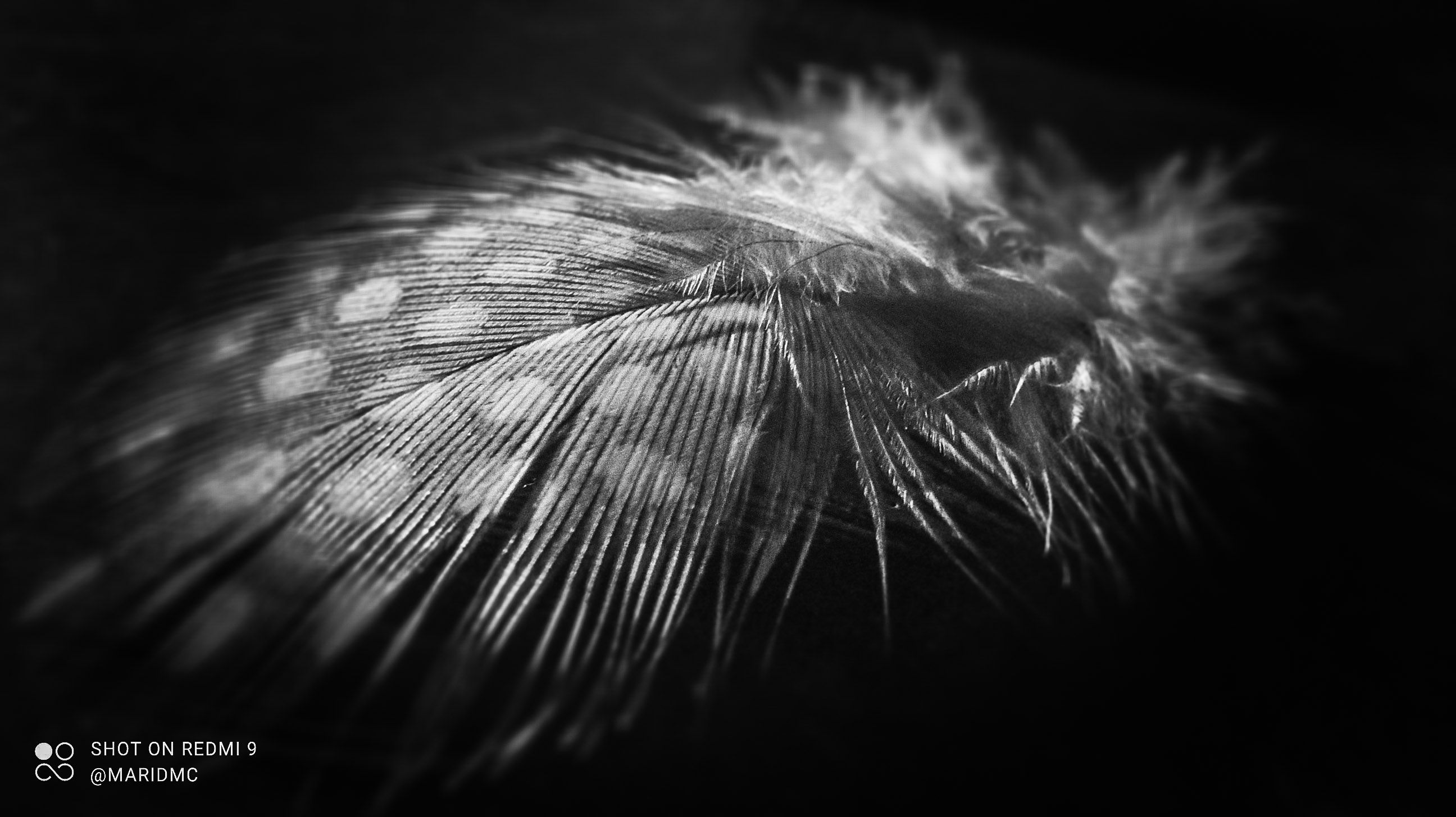 PSX_20211108_211301.jpg