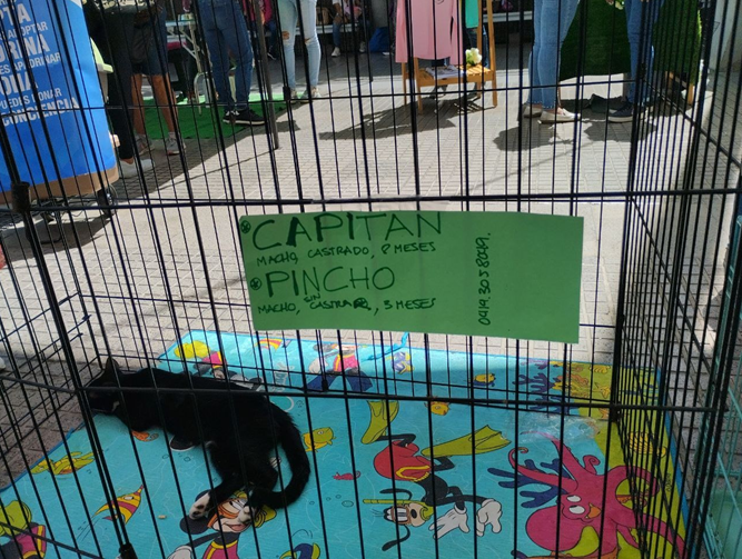 imagen.png
