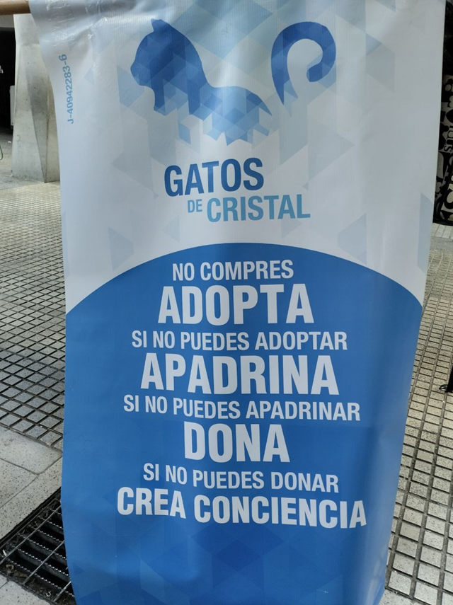 imagen.png