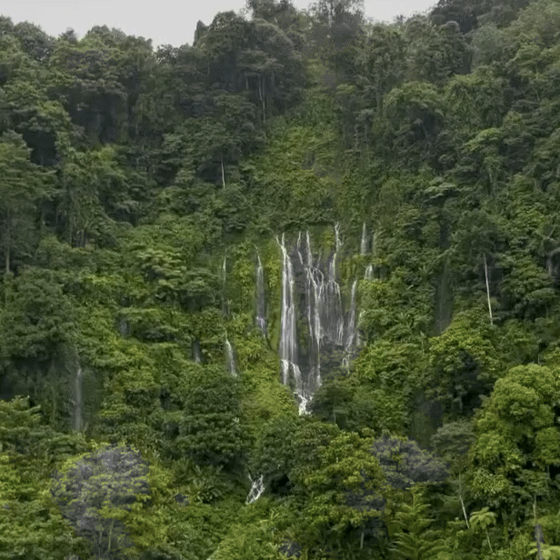 SINULOMFALLS...........cagayancdodumpthrowbackfallsbaliindonesiainspiredpostpicpi...alikeigersadventuretraveltravellertravelphtravelgramsmountainsnaturepeacemindwaterfallsphilippines-ezgif.com-video-to-gif-converter.gif