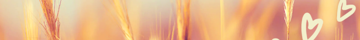 Screenshot_20220821-164037~3.png
