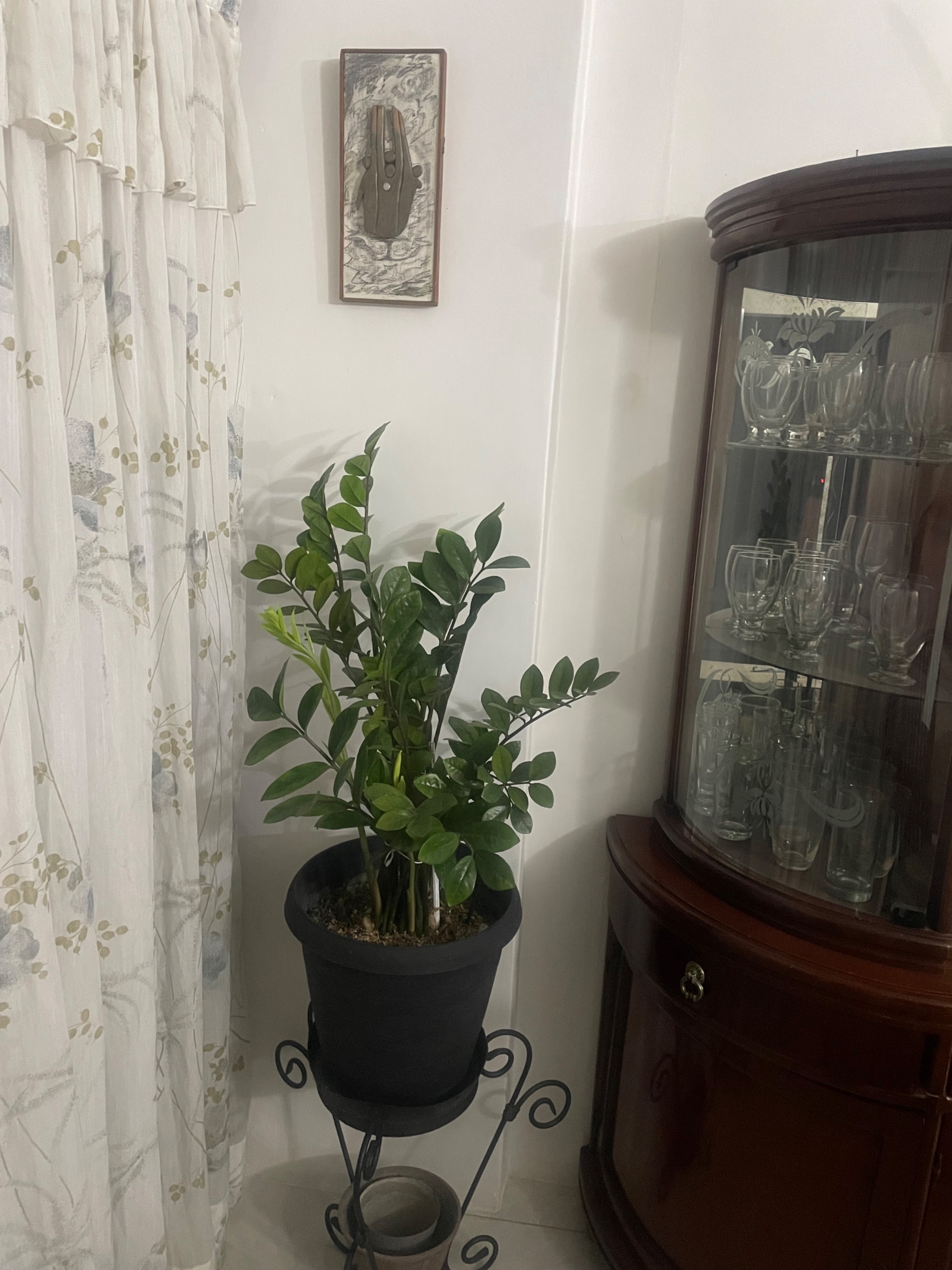 IMG_2185.jpeg