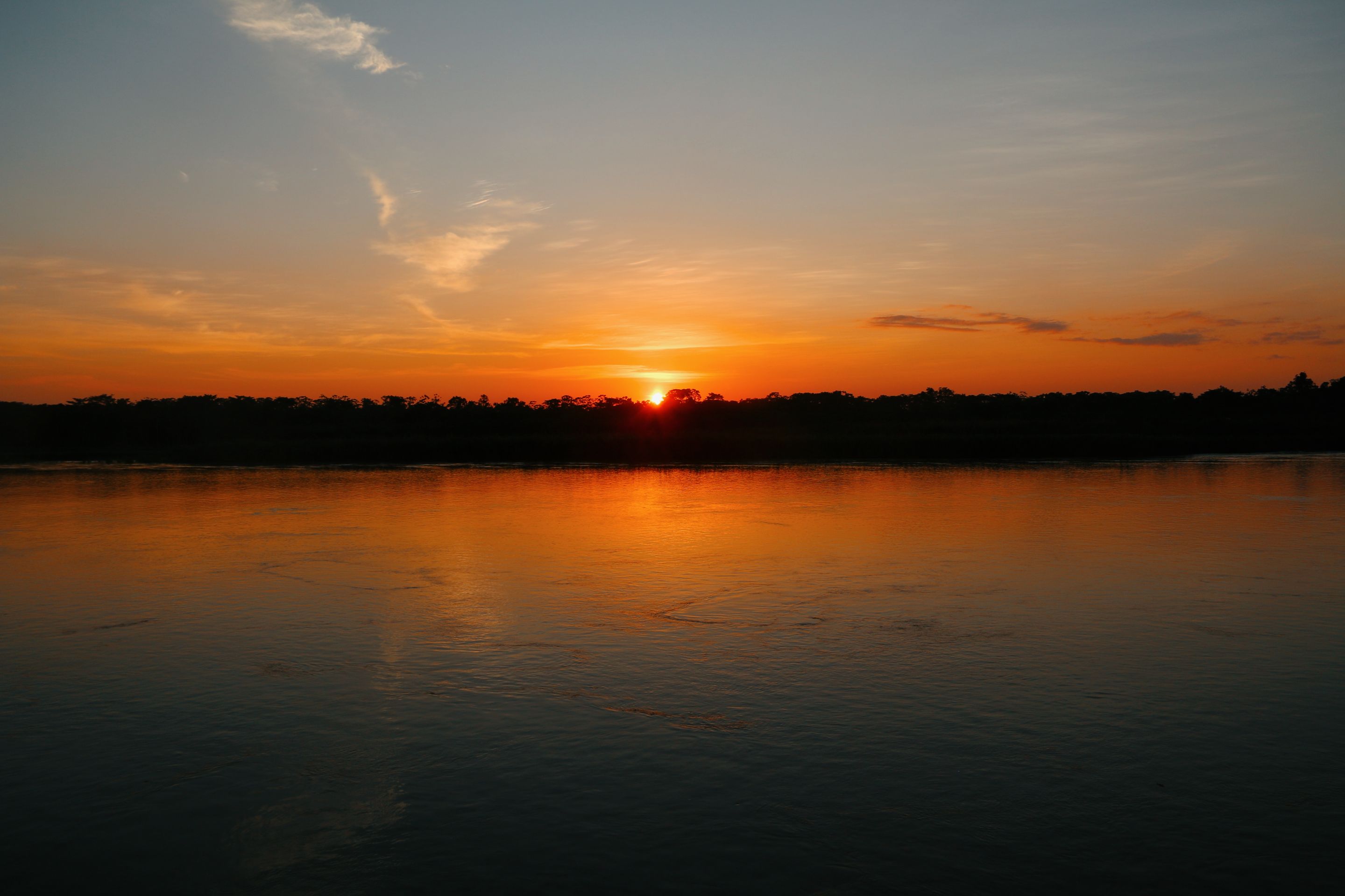 IMG_20221027_201124.jpg