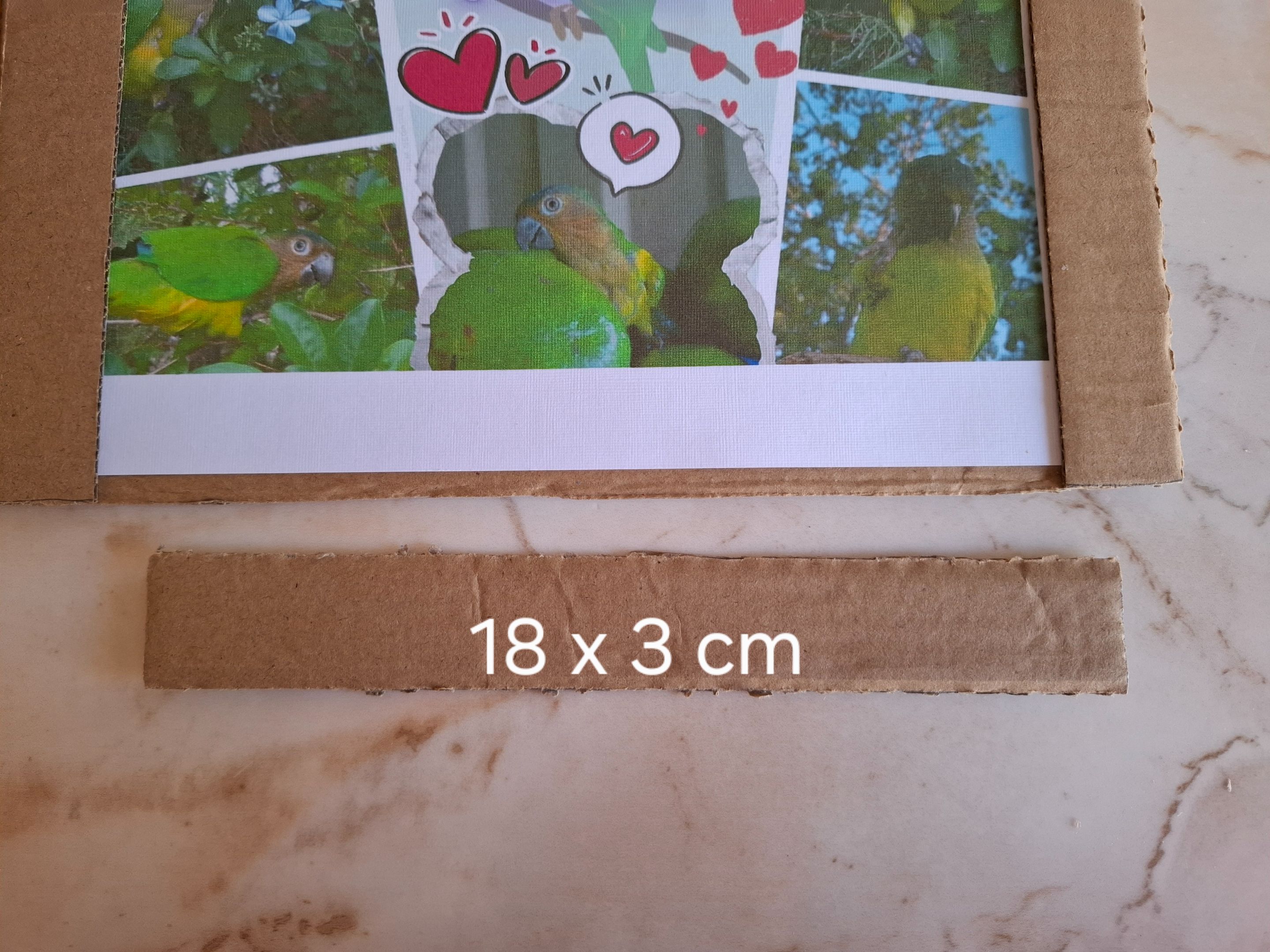 1000516196.jpg