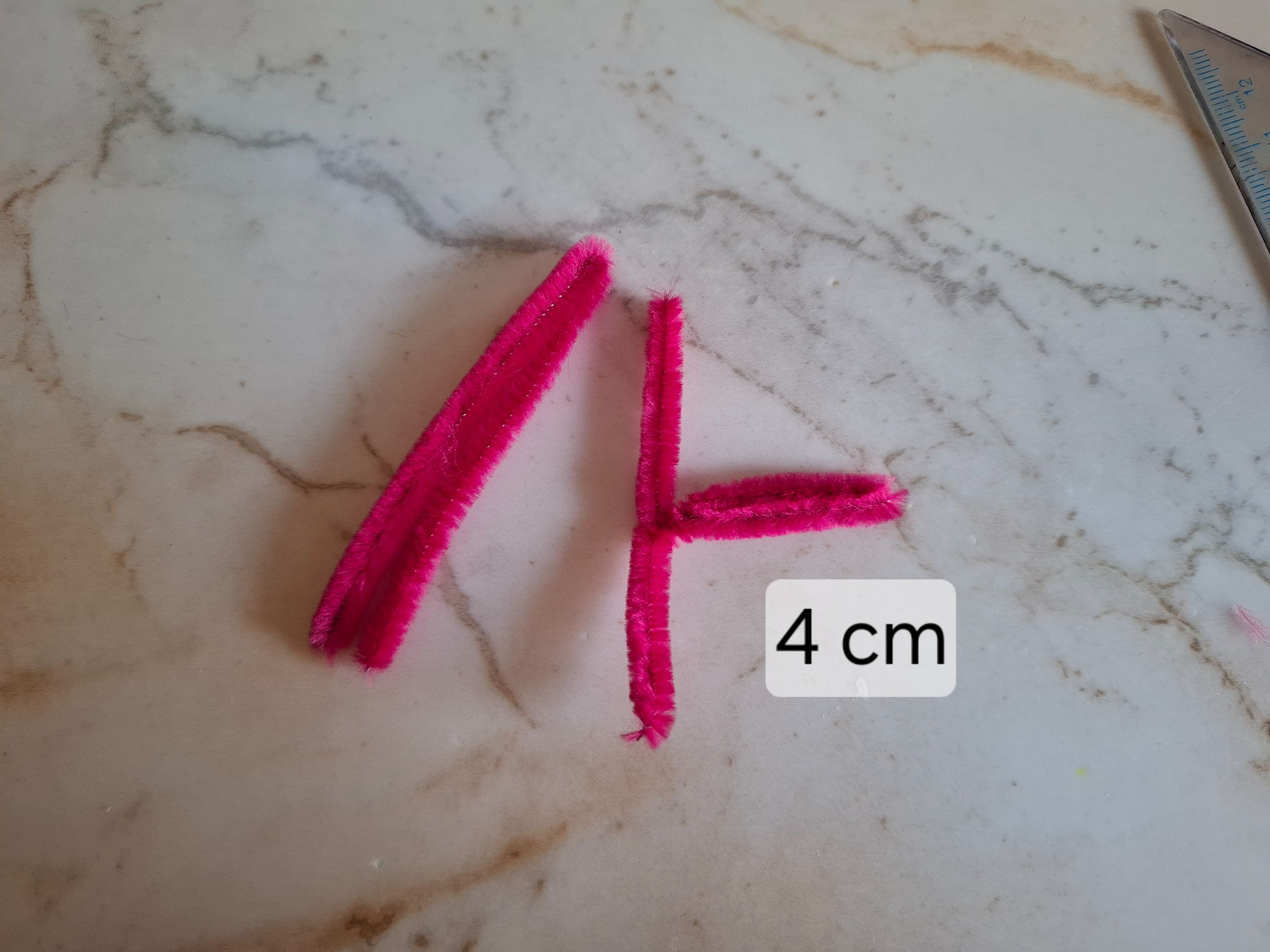 1000713596.jpg
