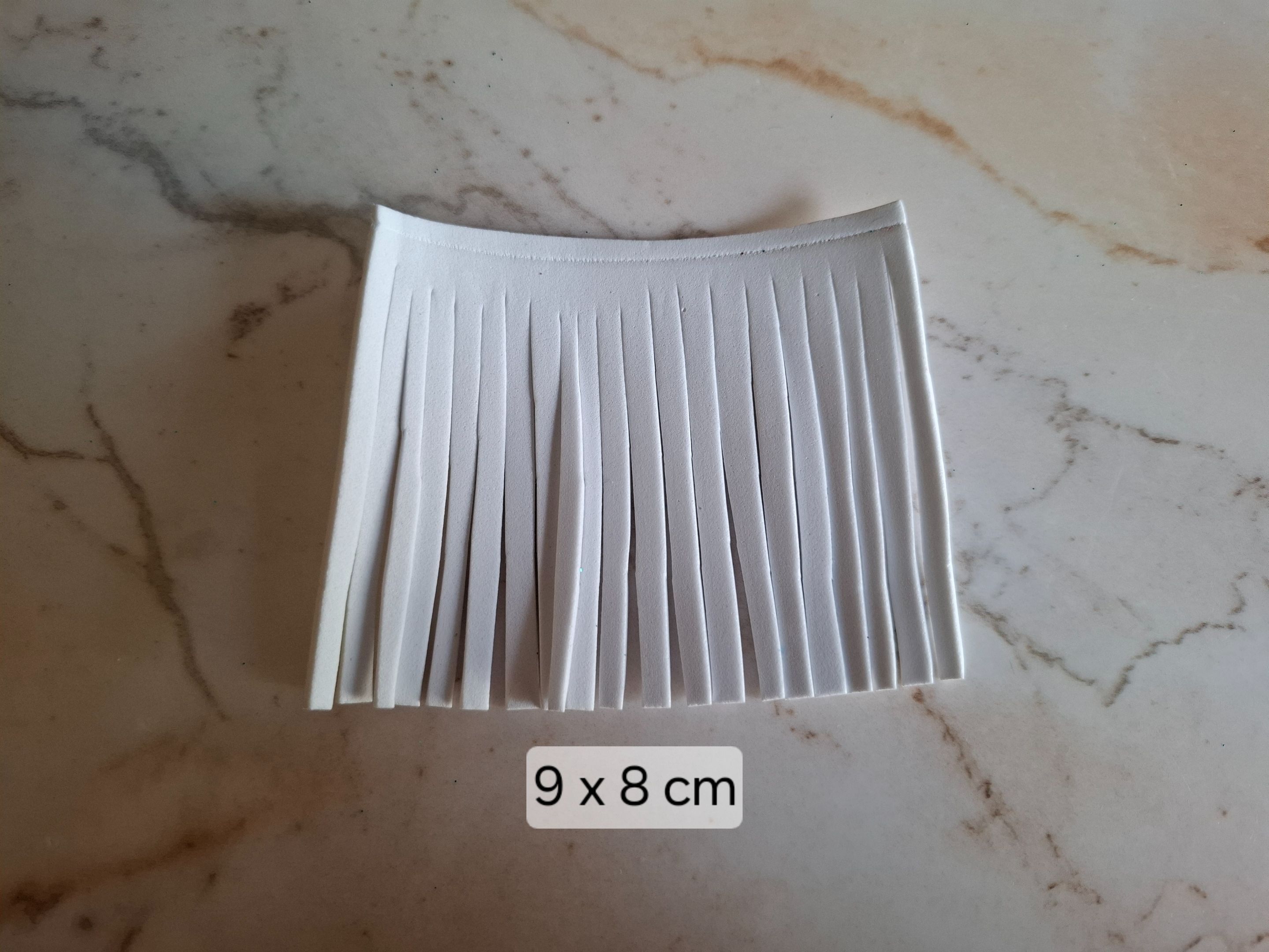 1000910237.jpg