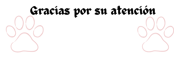 El texto del párrafo (13).png