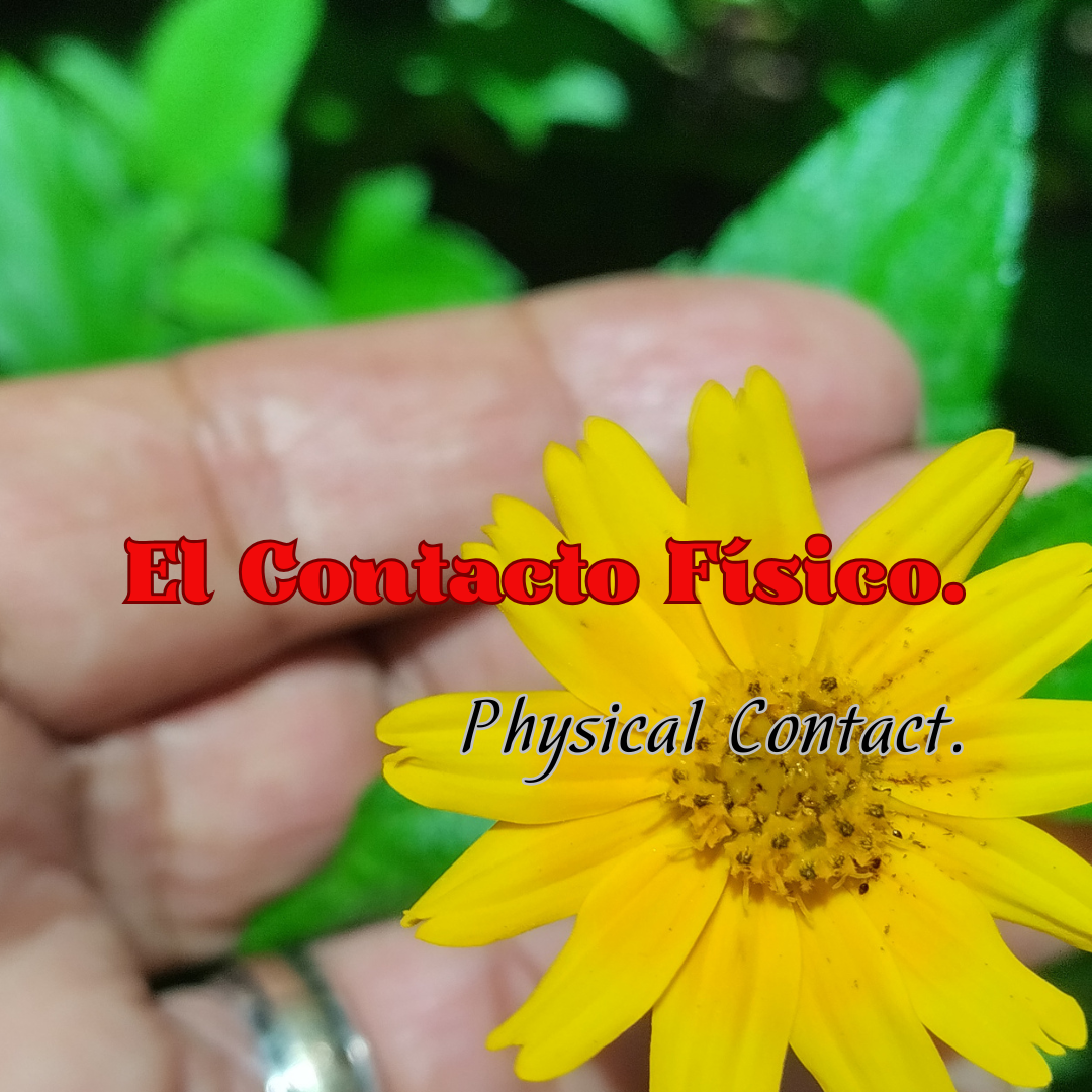 A p…
Payout: 0.000 HBDContacto Físico./Physical Contact.
2025-06-13 20:39![Contacto físico (2).png