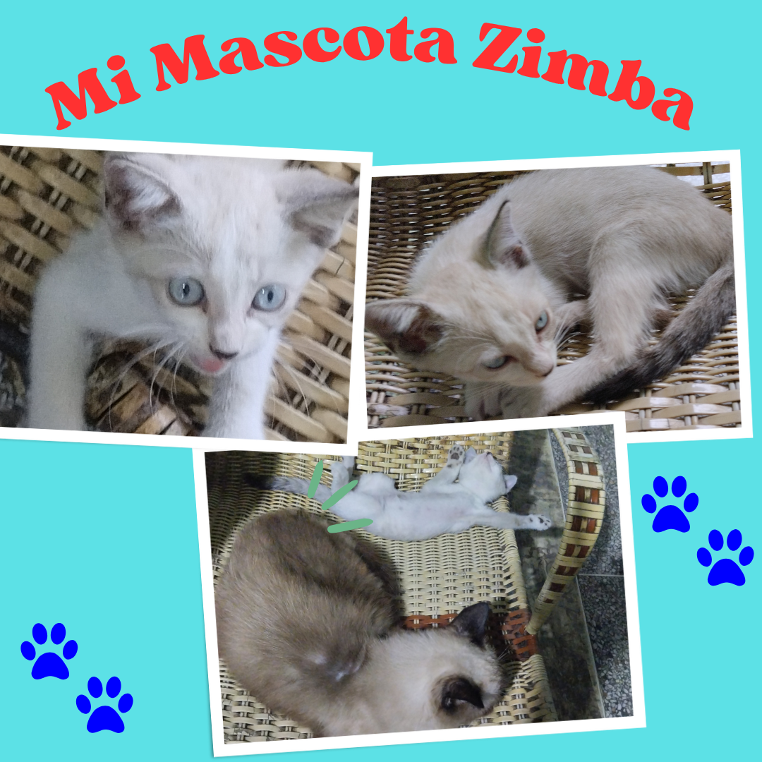 Mi Mascota Zimba.png