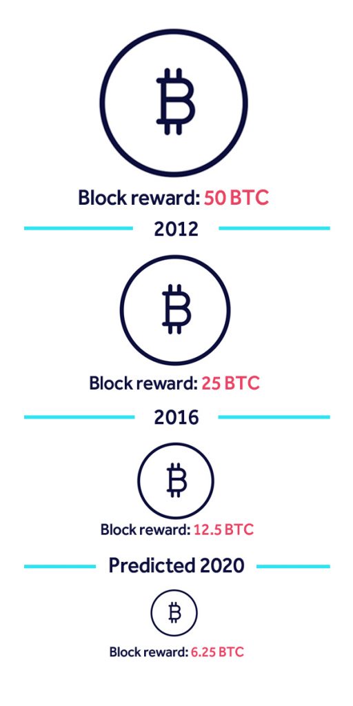 Halving512x1024.jpg