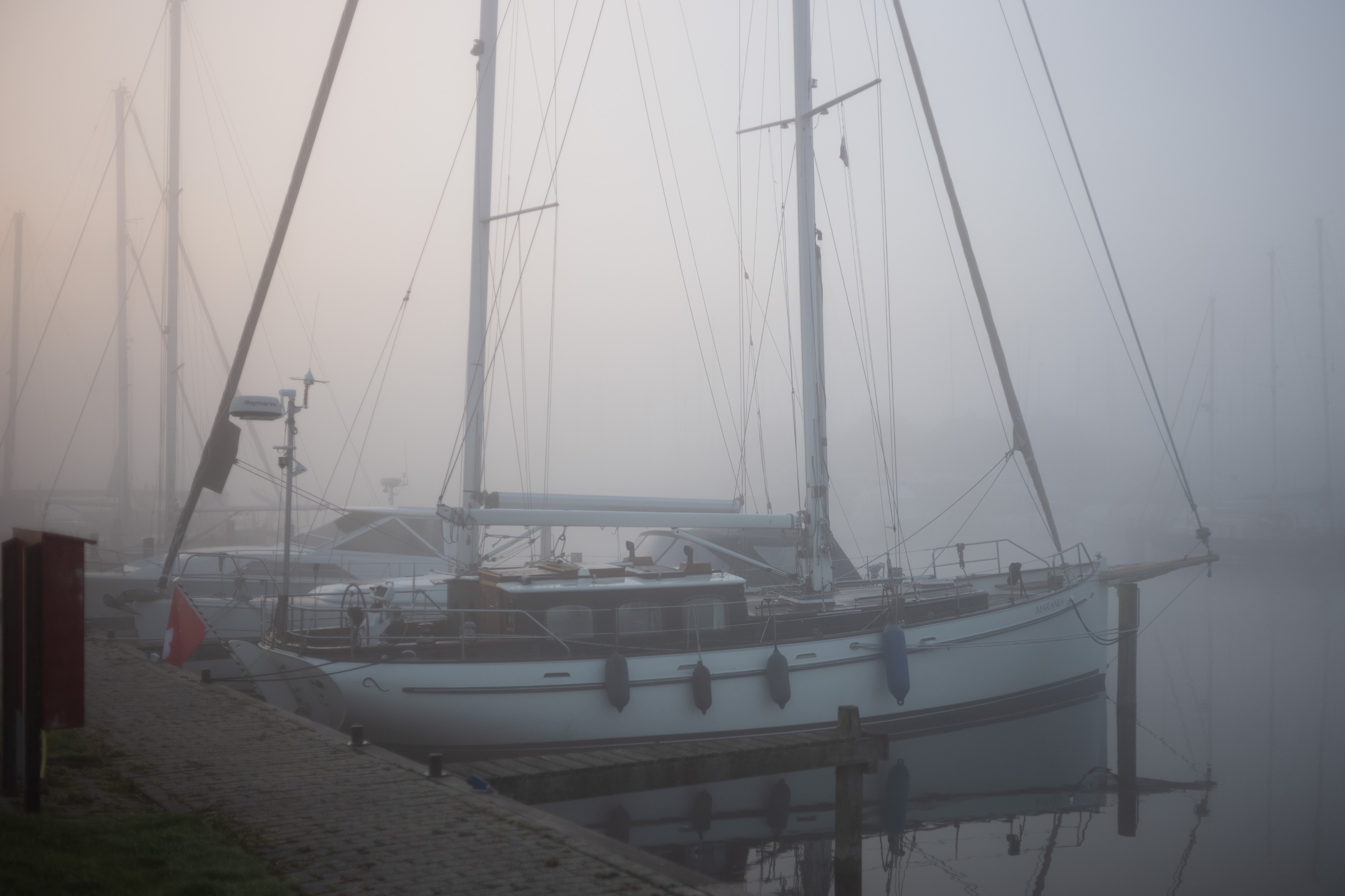 L1007770.jpg
