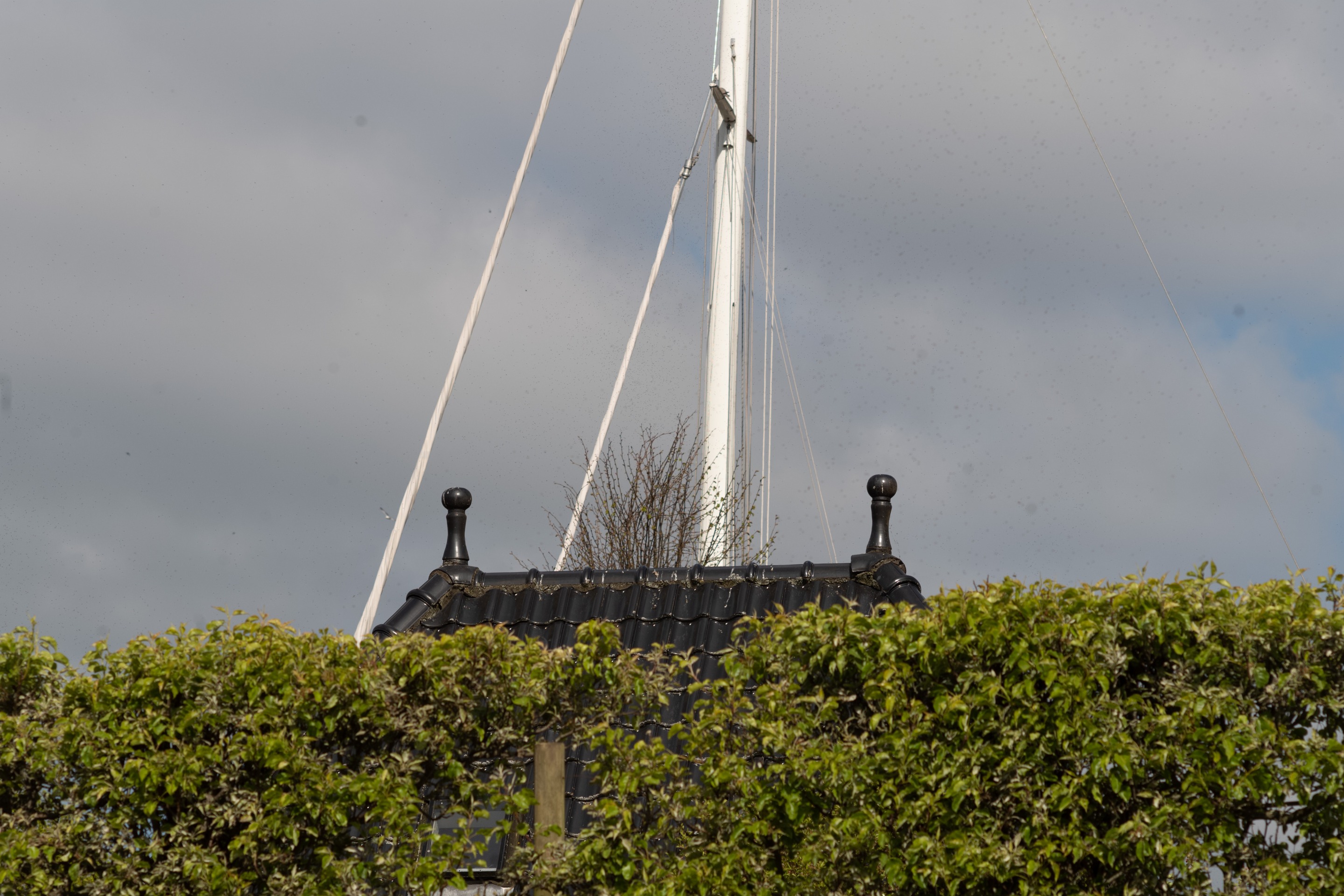 L1008067.jpg