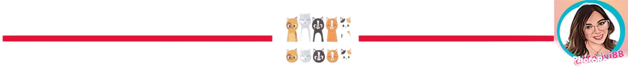 separador de texto png sin fondo.png