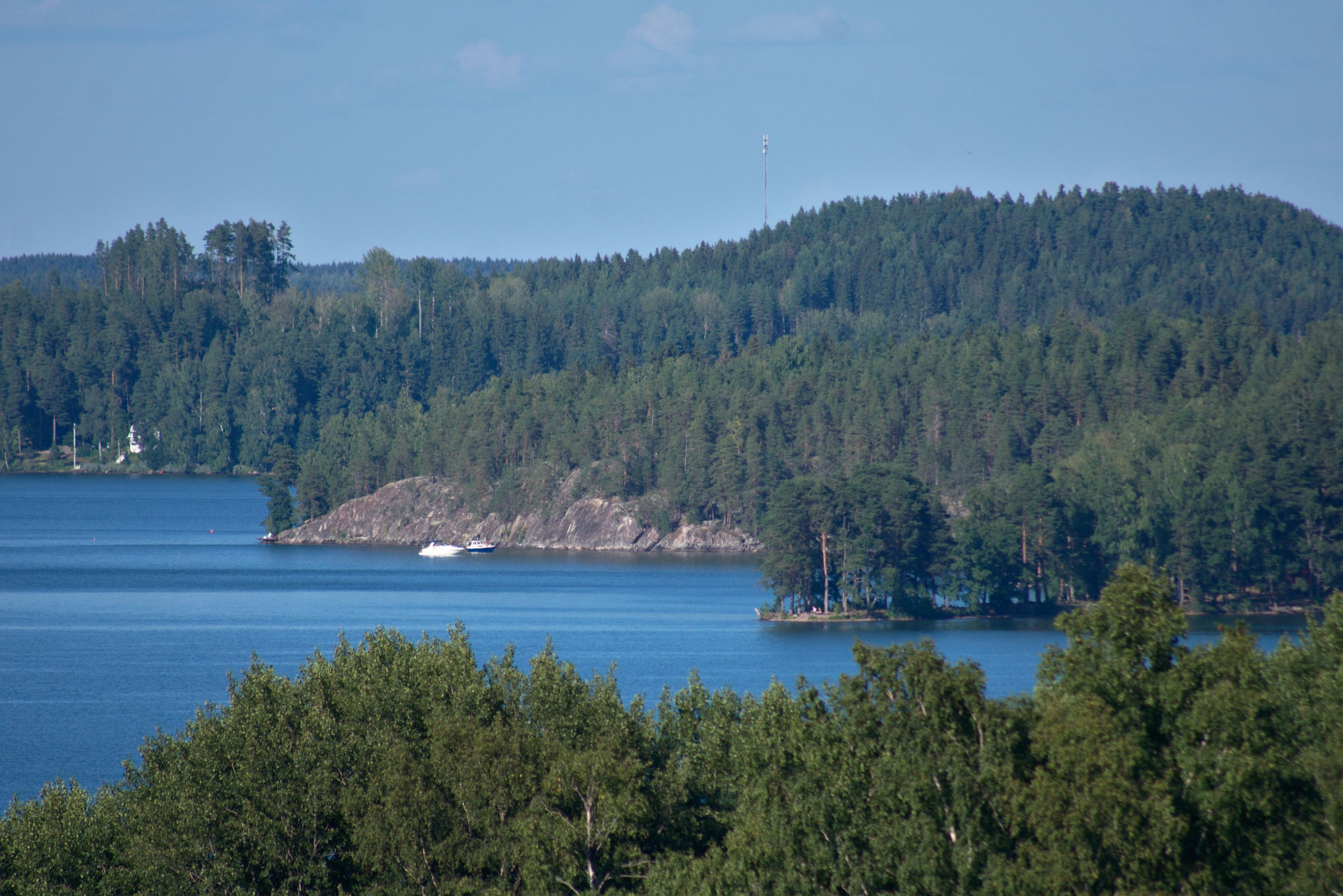 DSC_0139.jpg