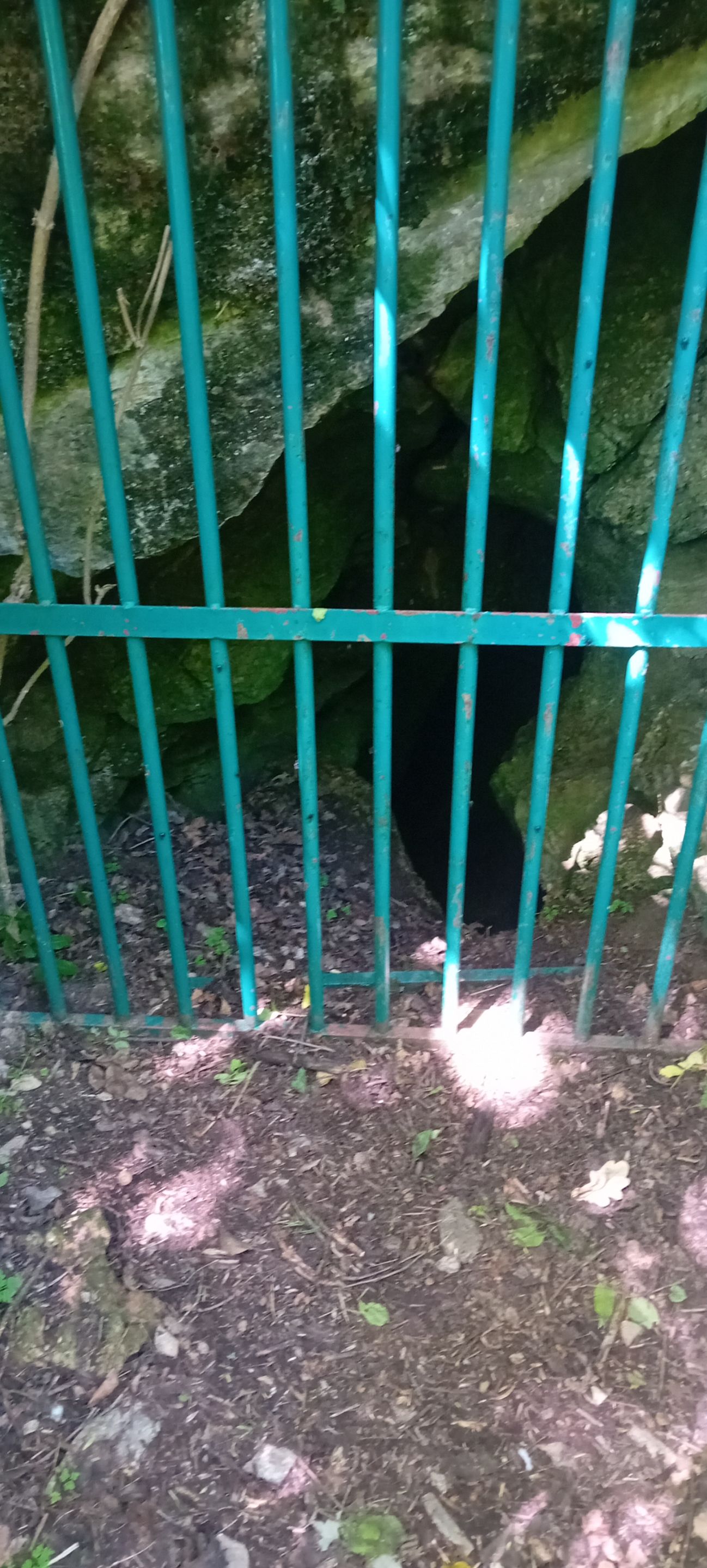 20250601_135513.jpg