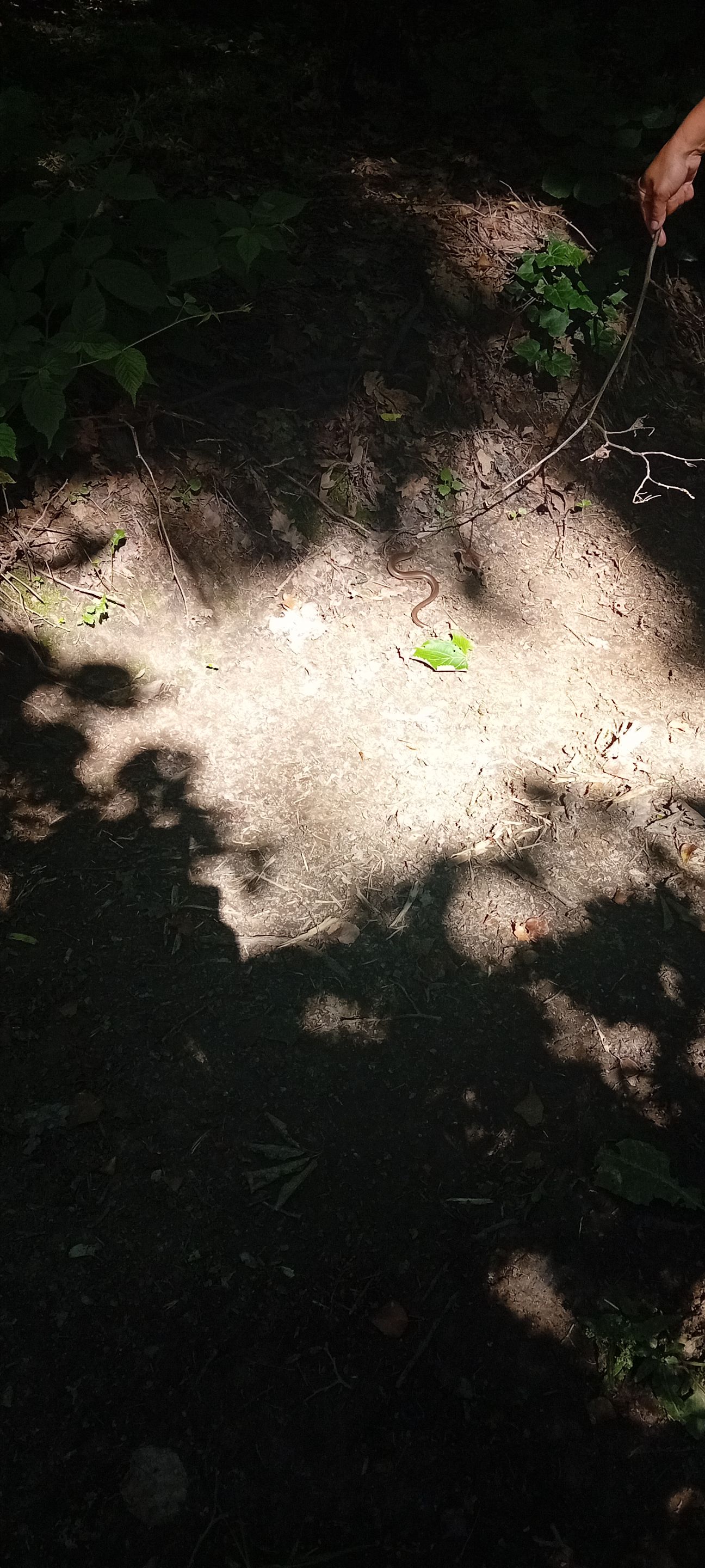 20250601_145734.jpg
