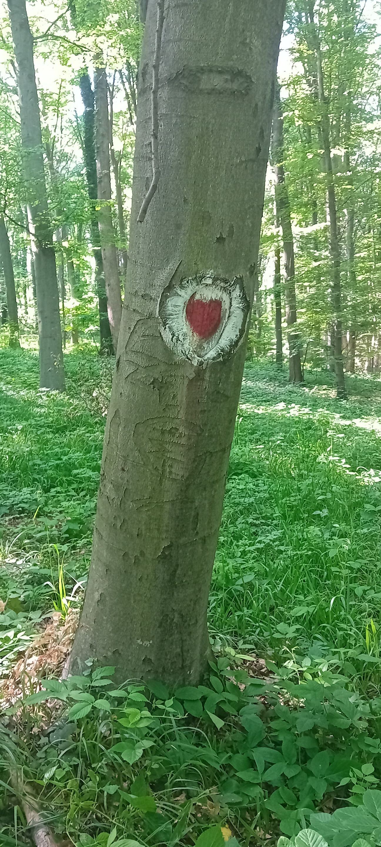 20250601_152821.jpg