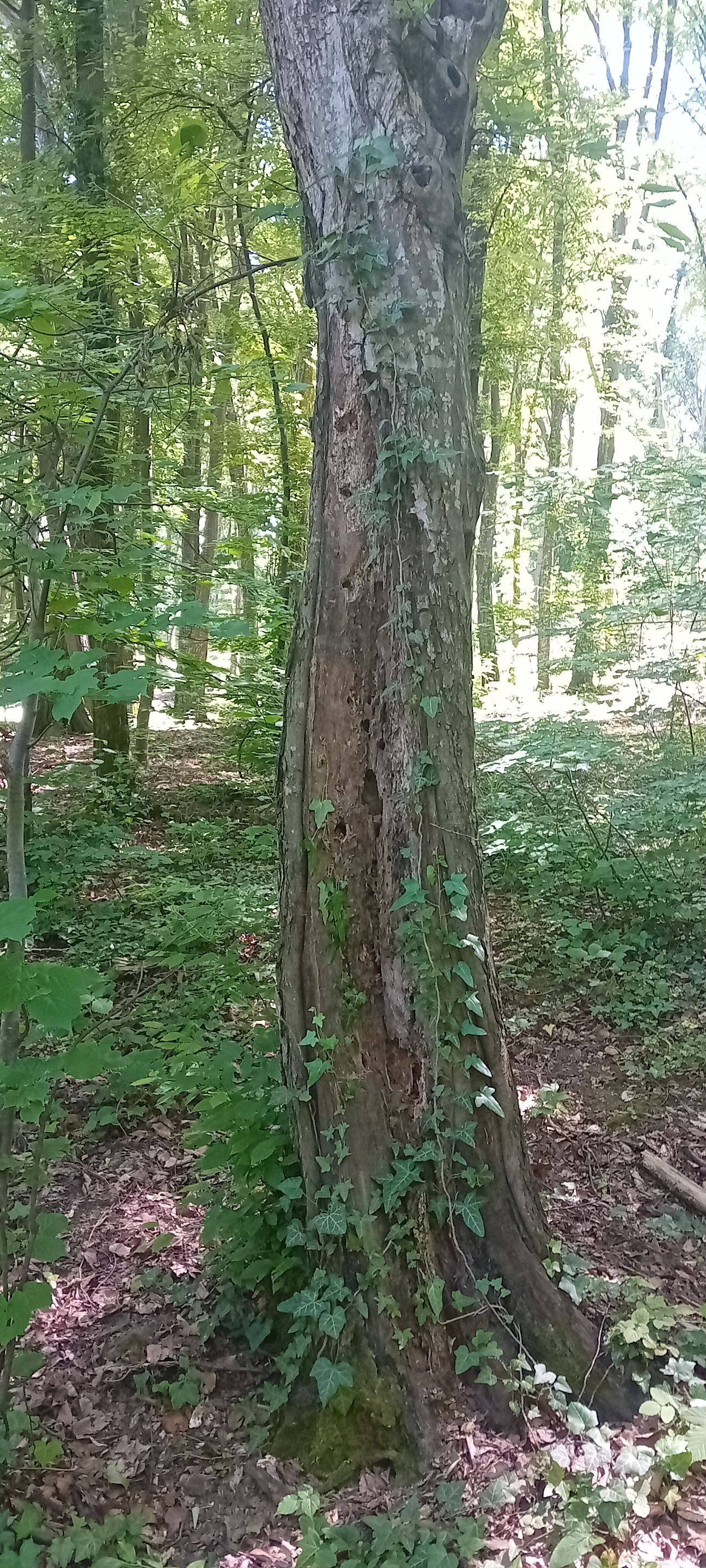 20250601_112349.jpg