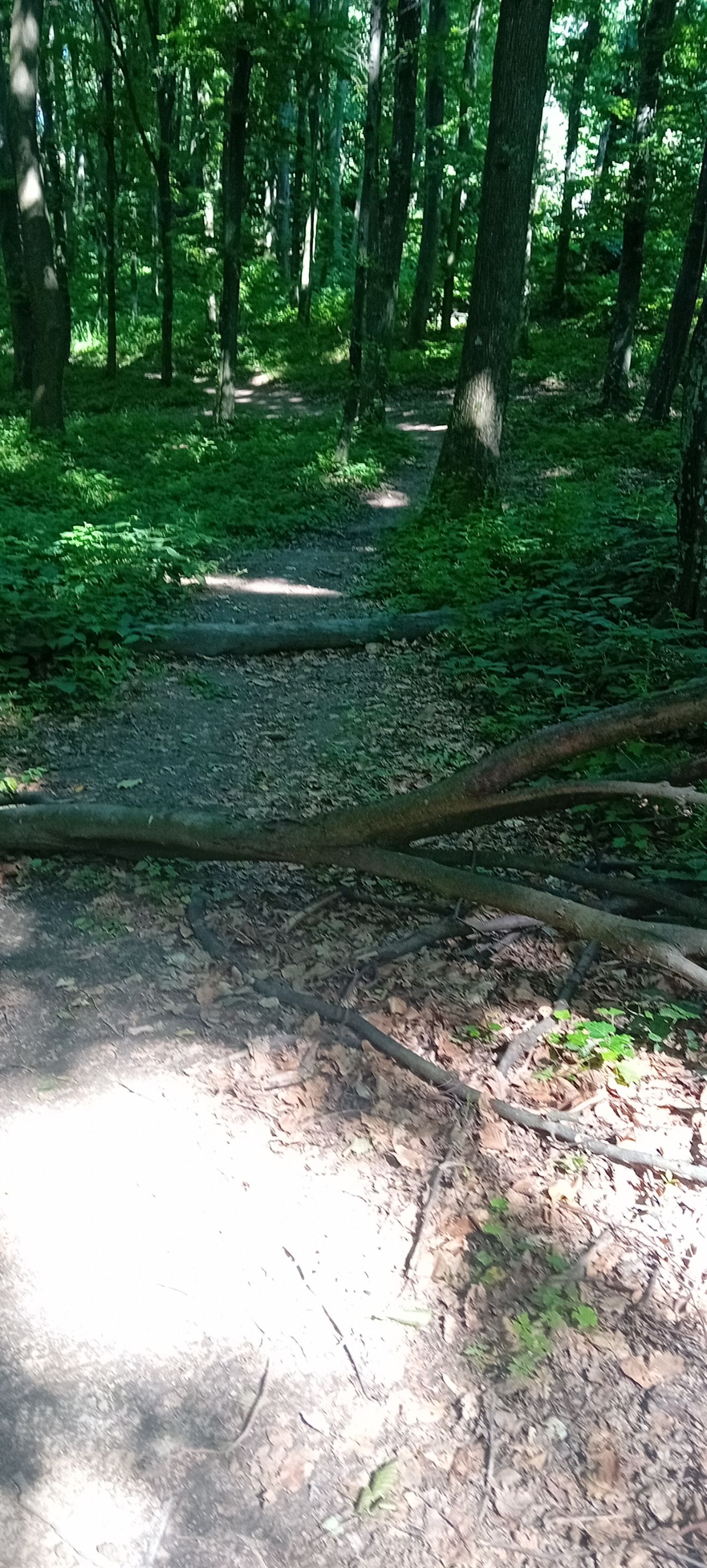 20250601_152626.jpg