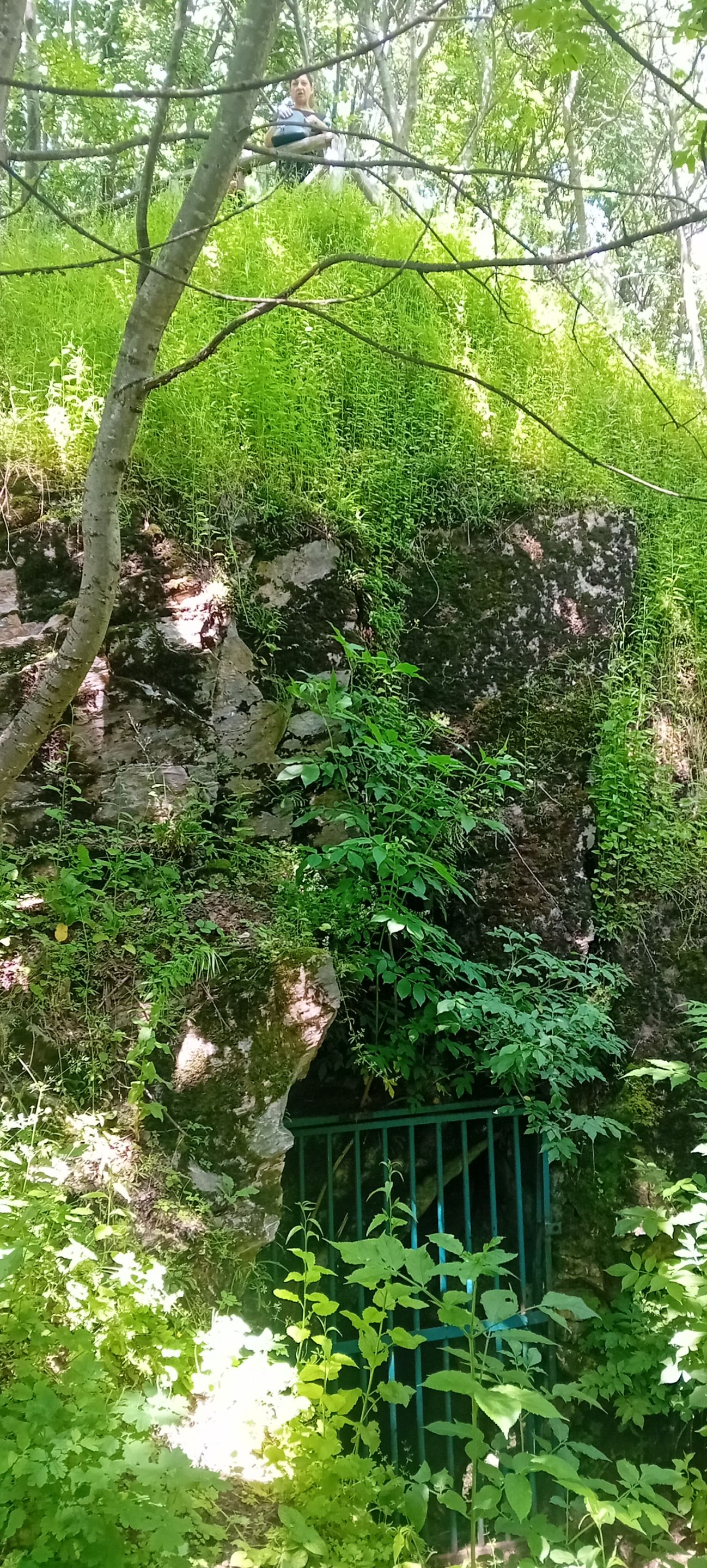 20250601_135530.jpg