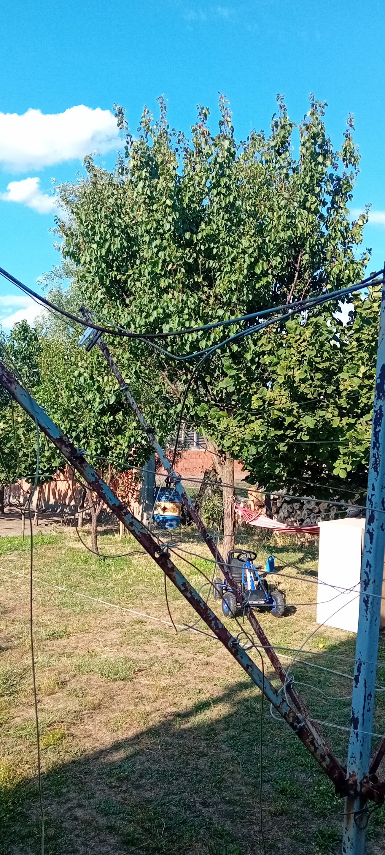 20250719_173527.jpg