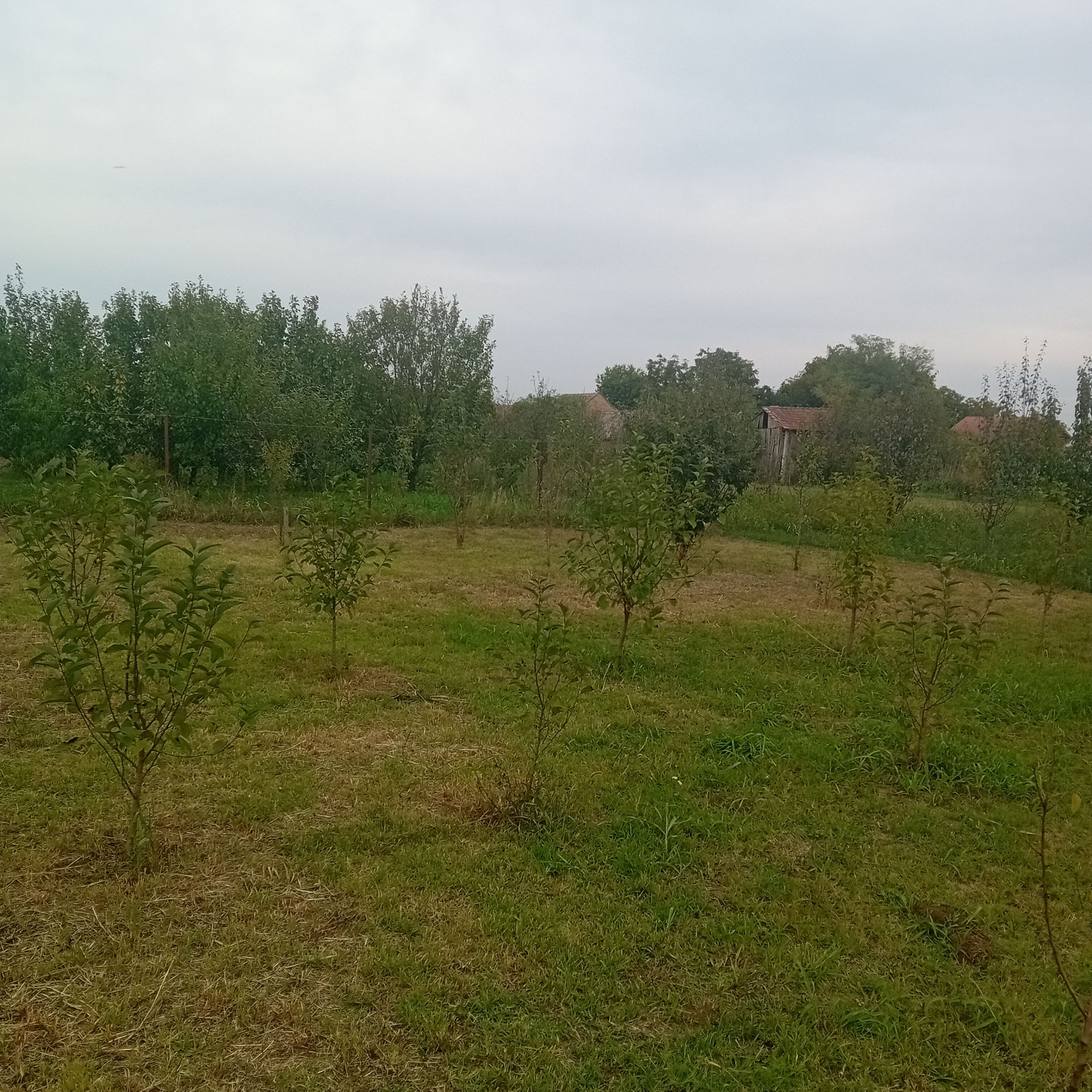 20250924_165433.jpg