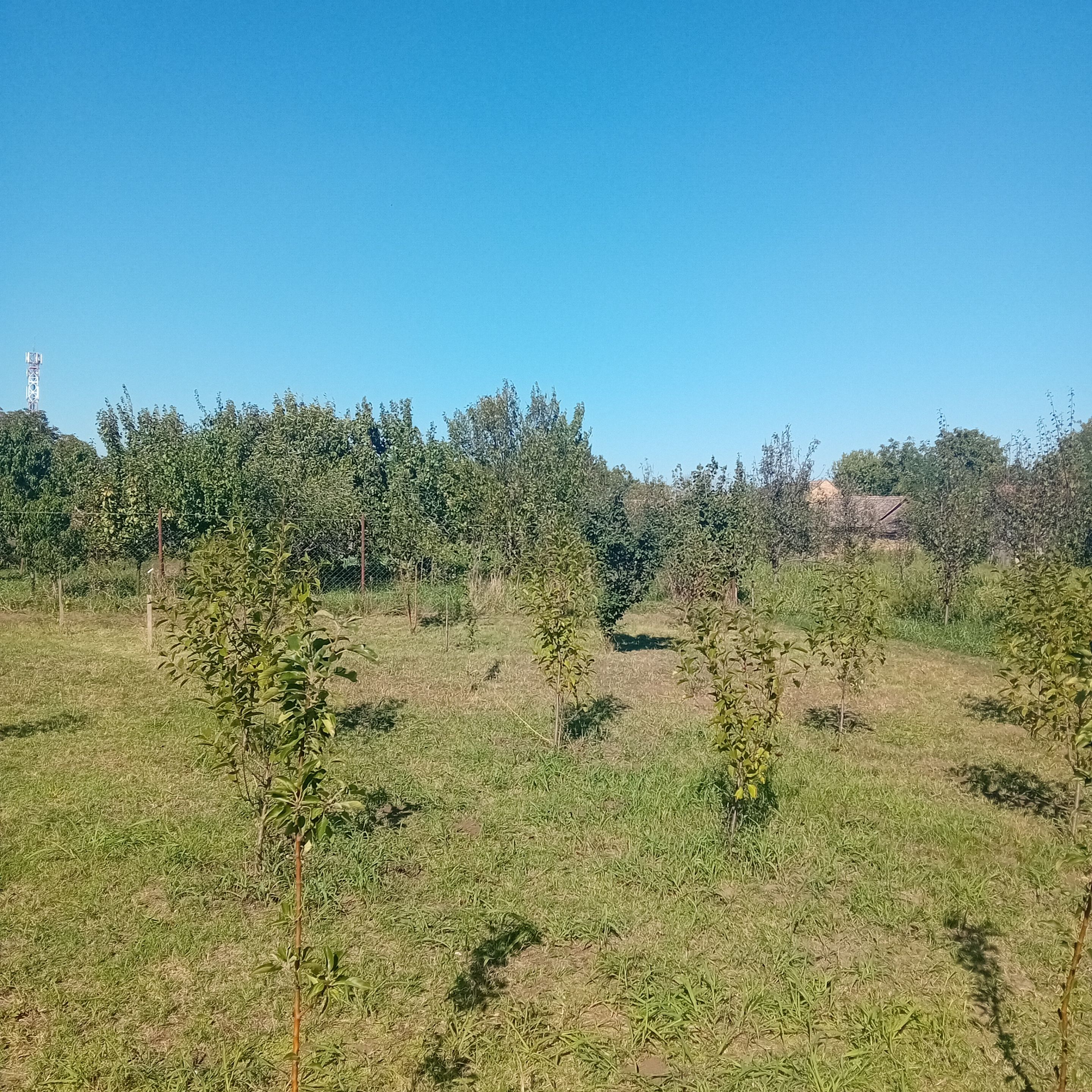 20250922_150145.jpg