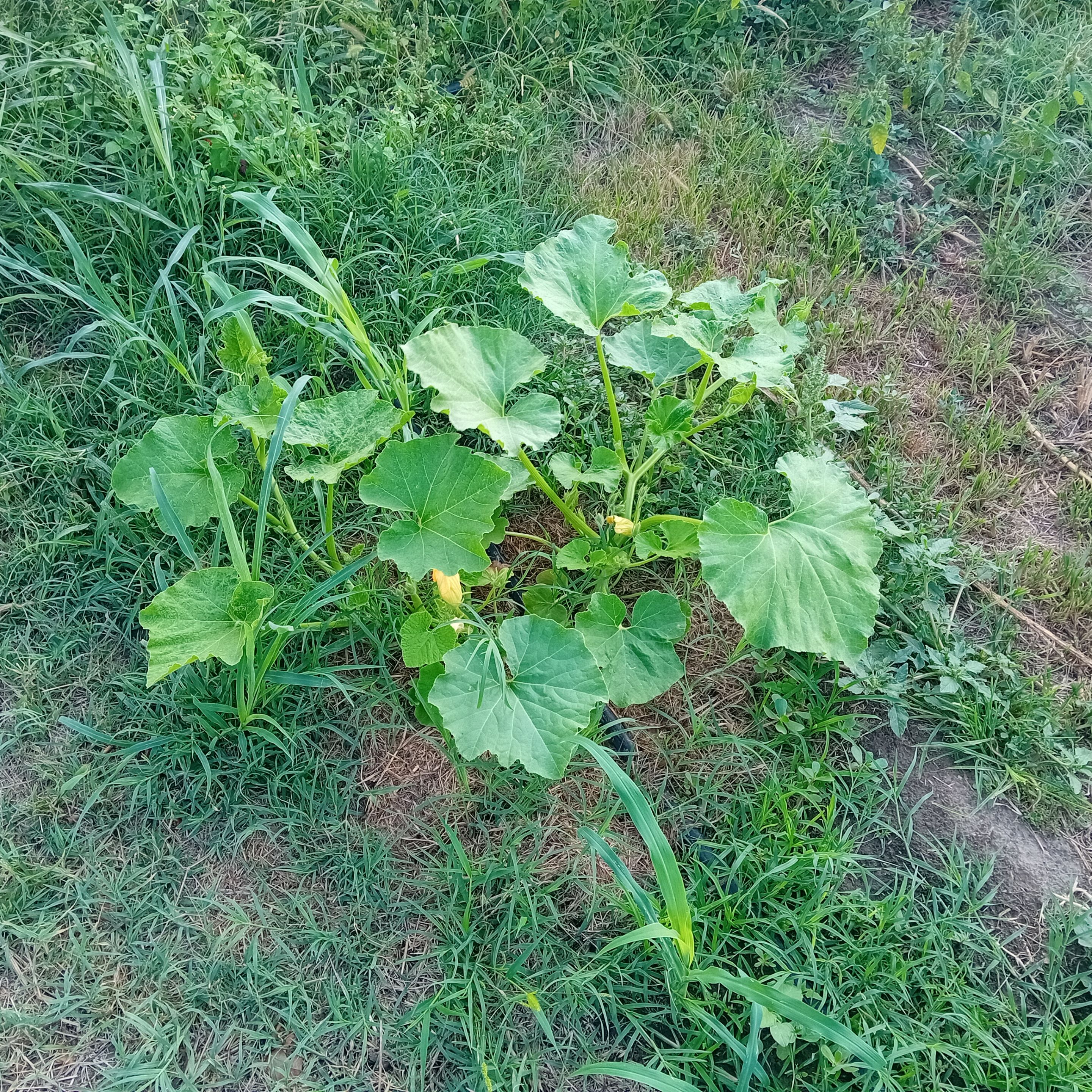 20250822_174416.jpg
