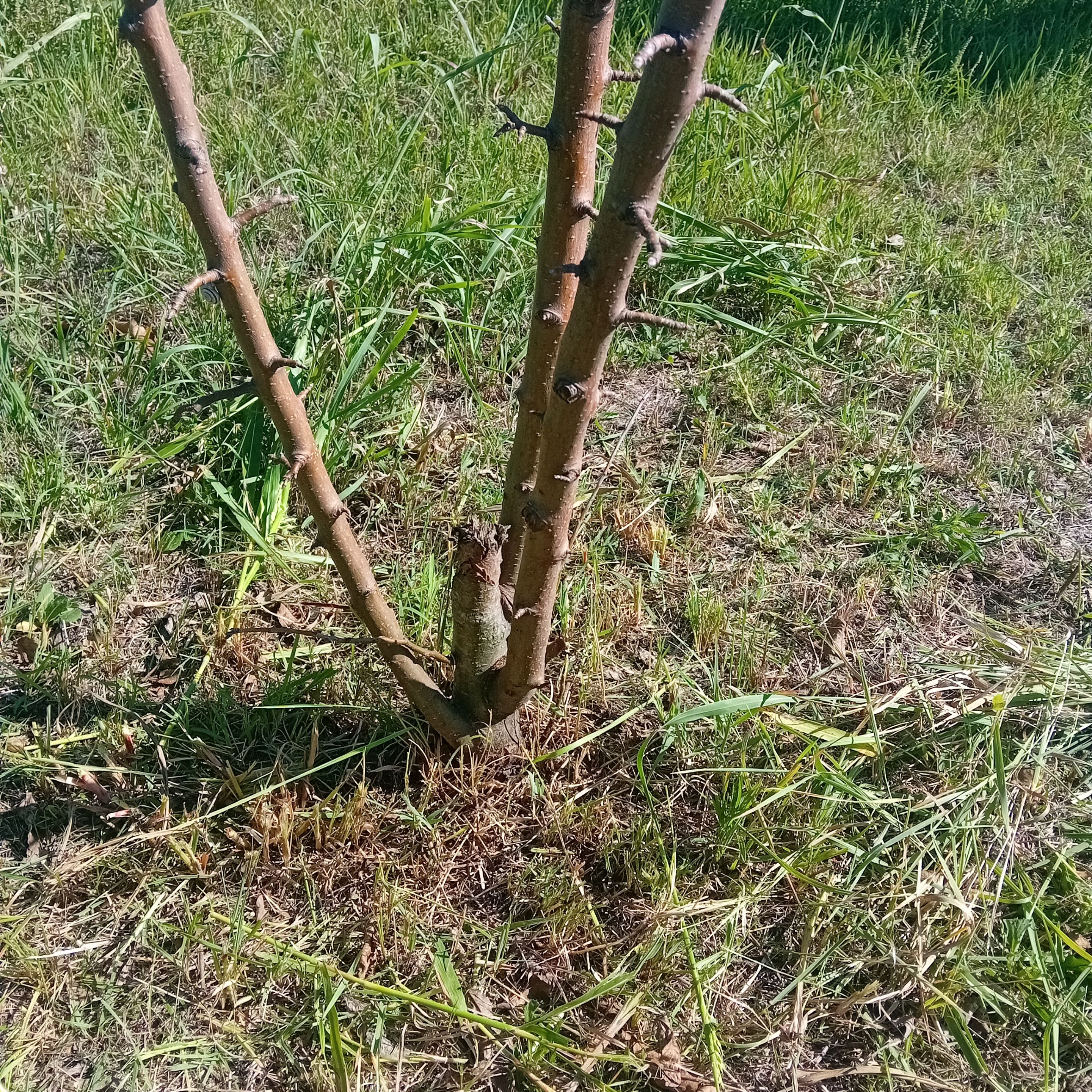 20250922_133836.jpg