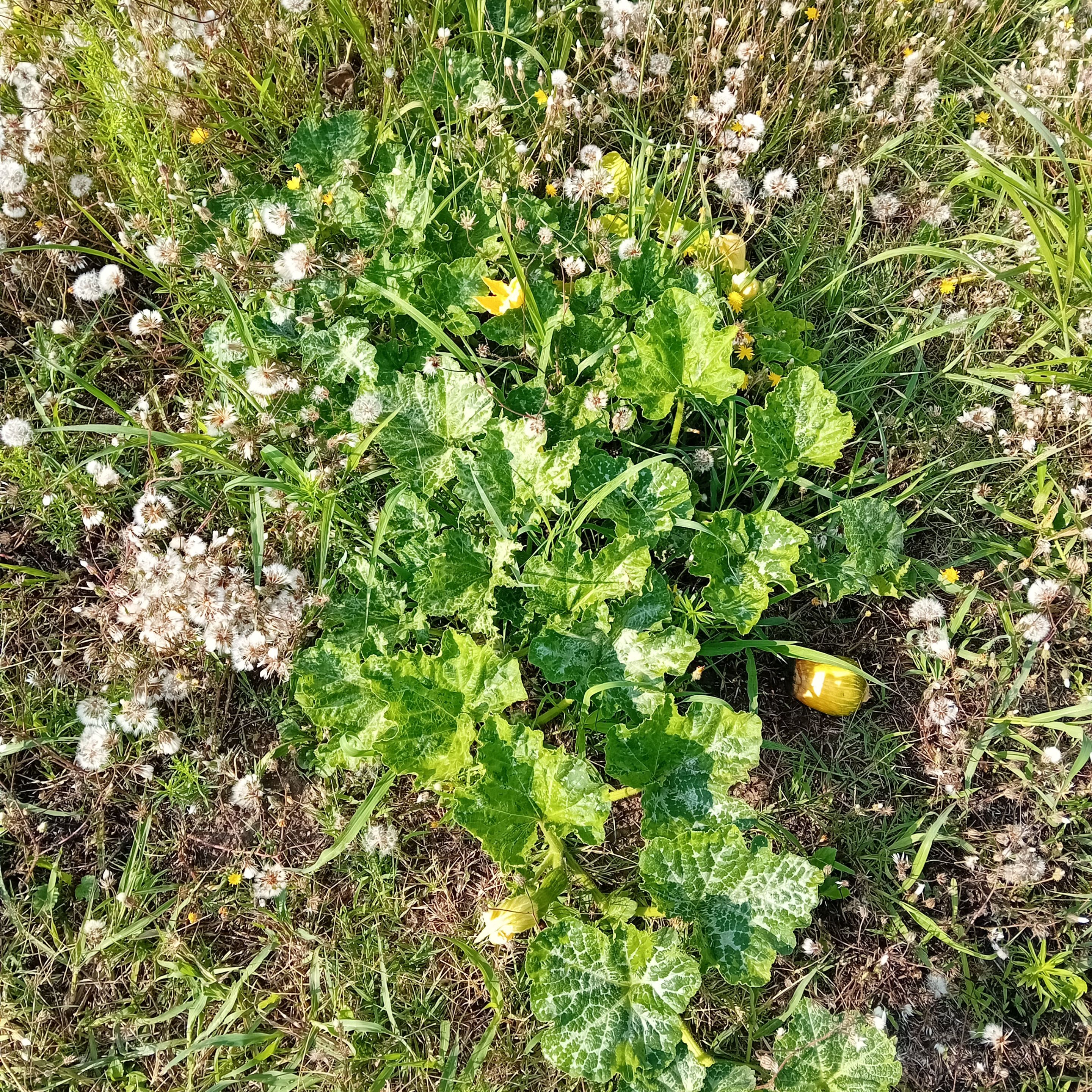 20250803_083444.jpg