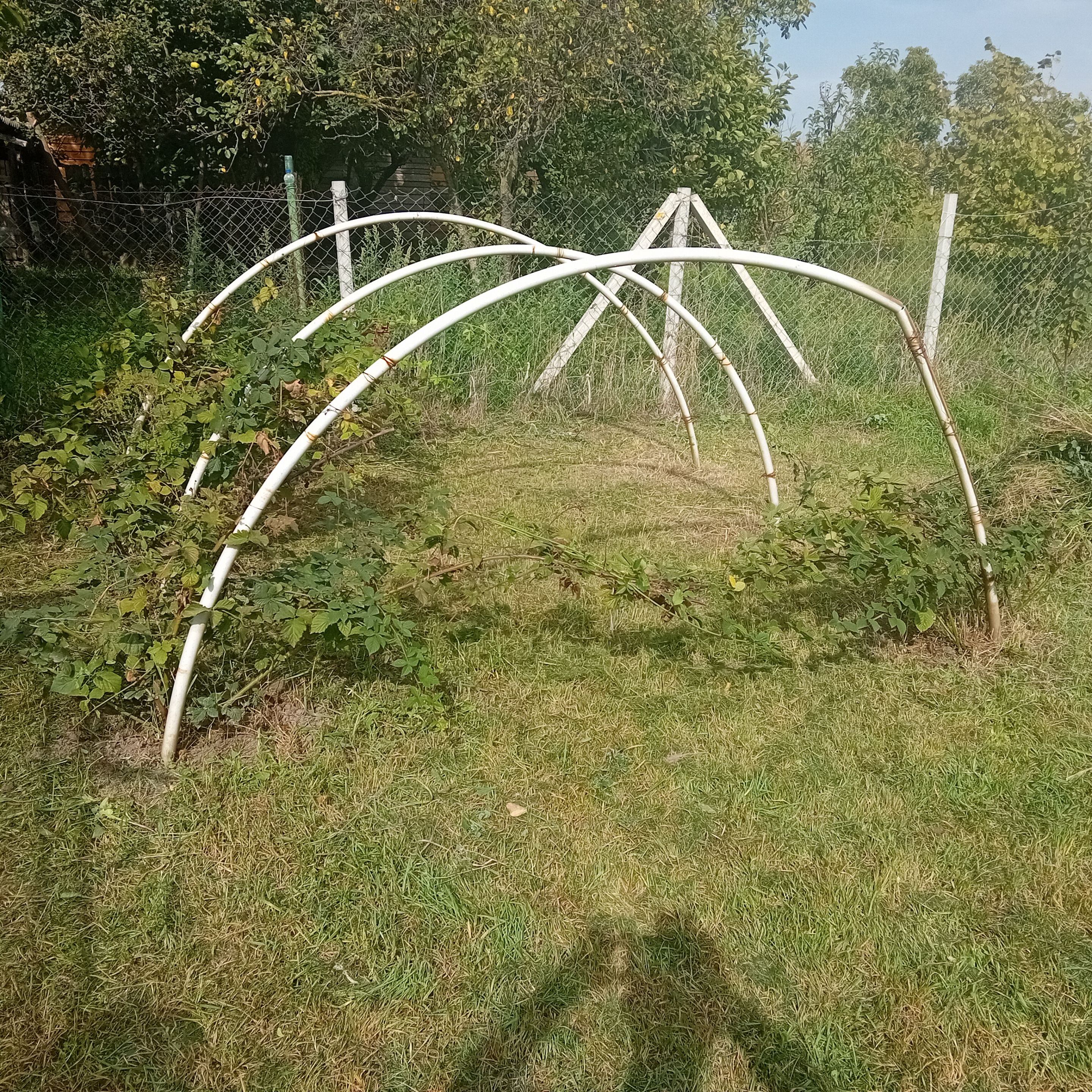20250924_102202.jpg