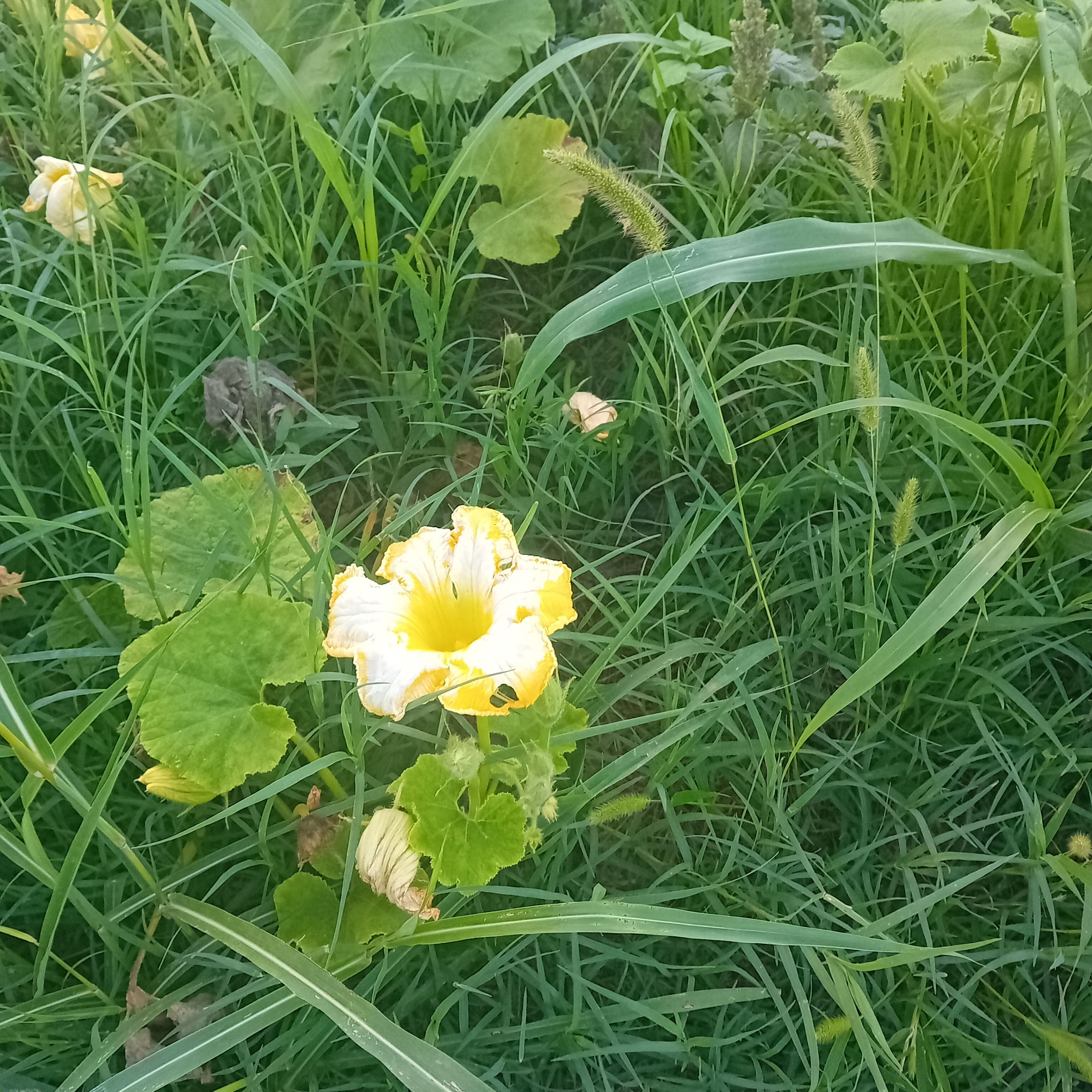 20250915_183712.jpg