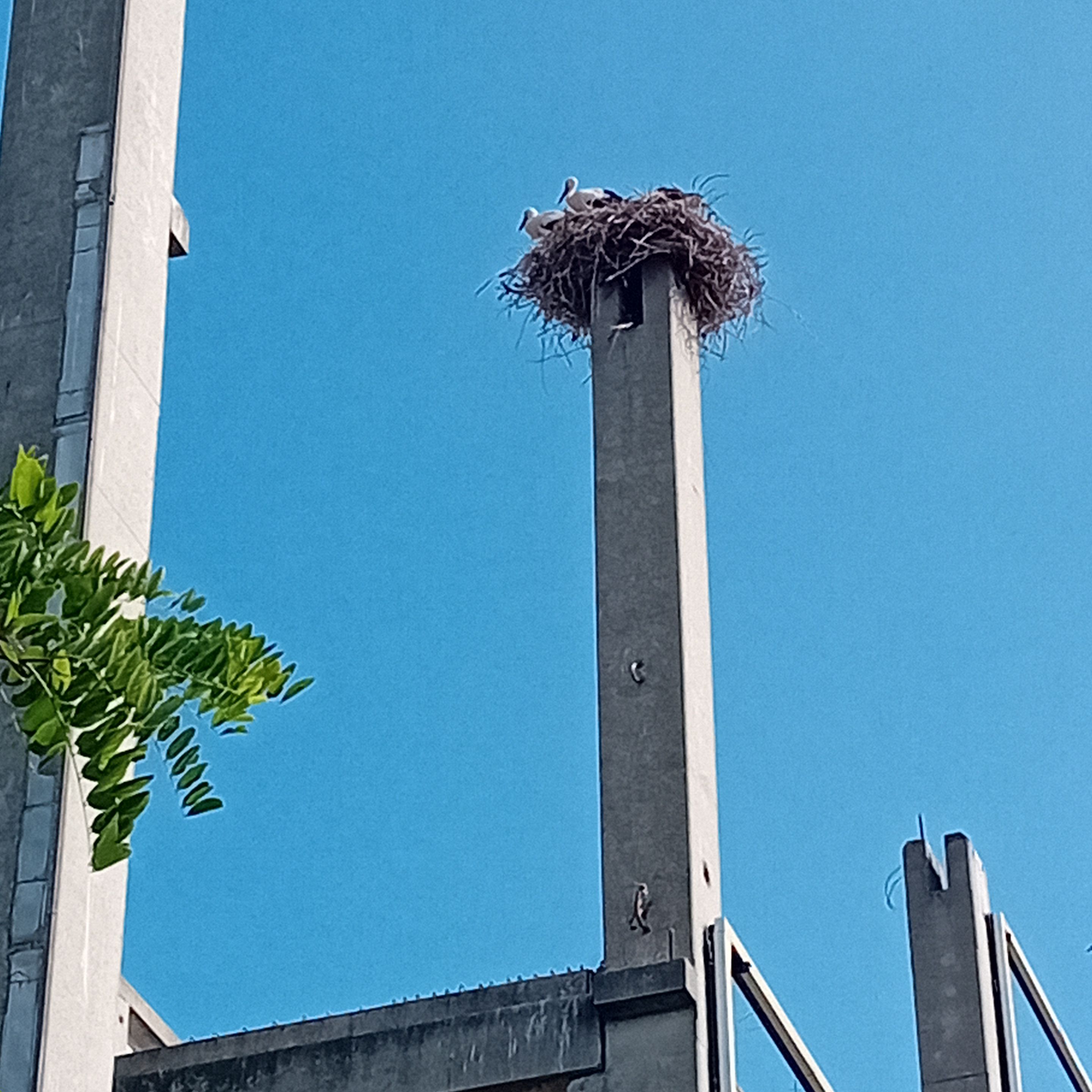 20250723_160243.jpg