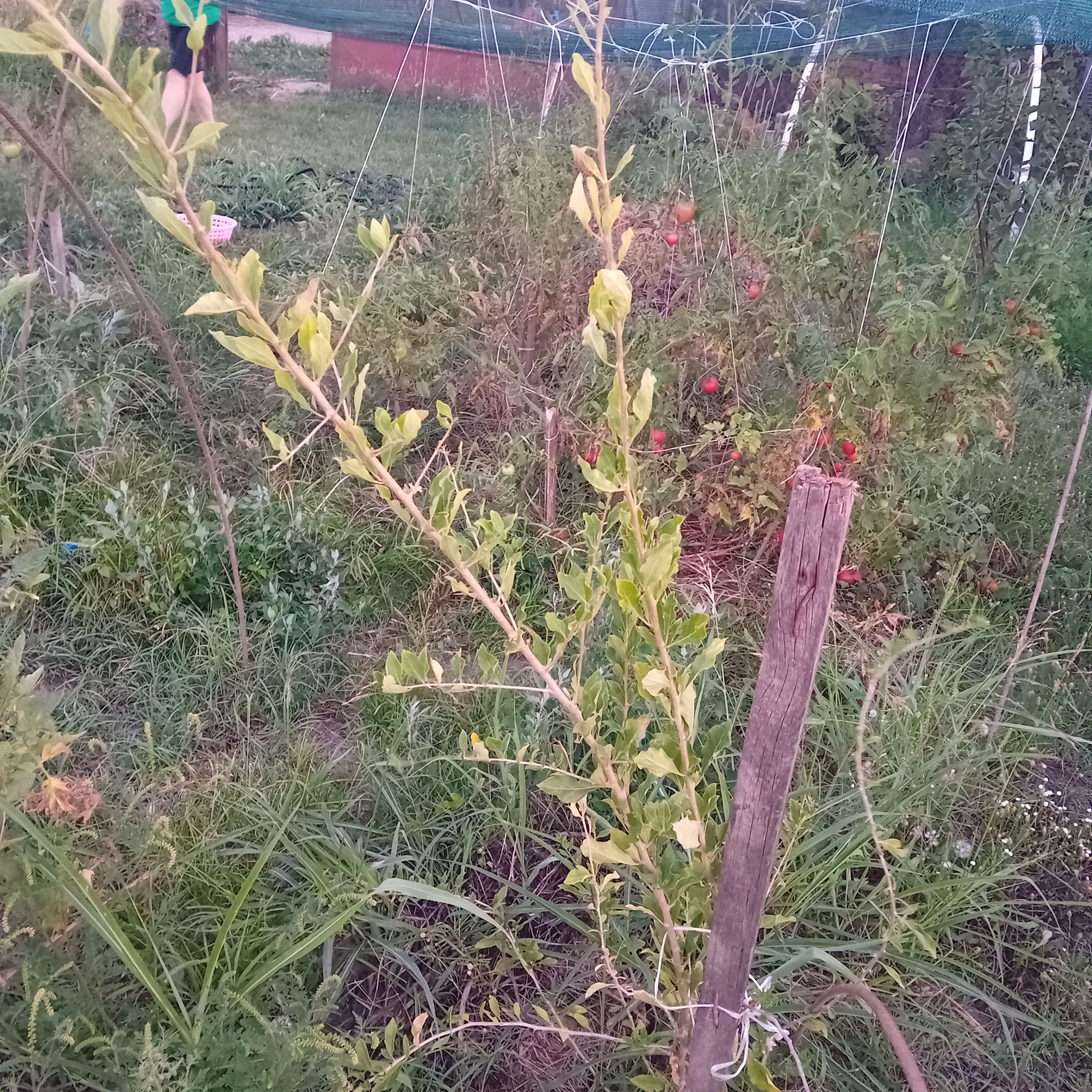 20250819_195105.jpg