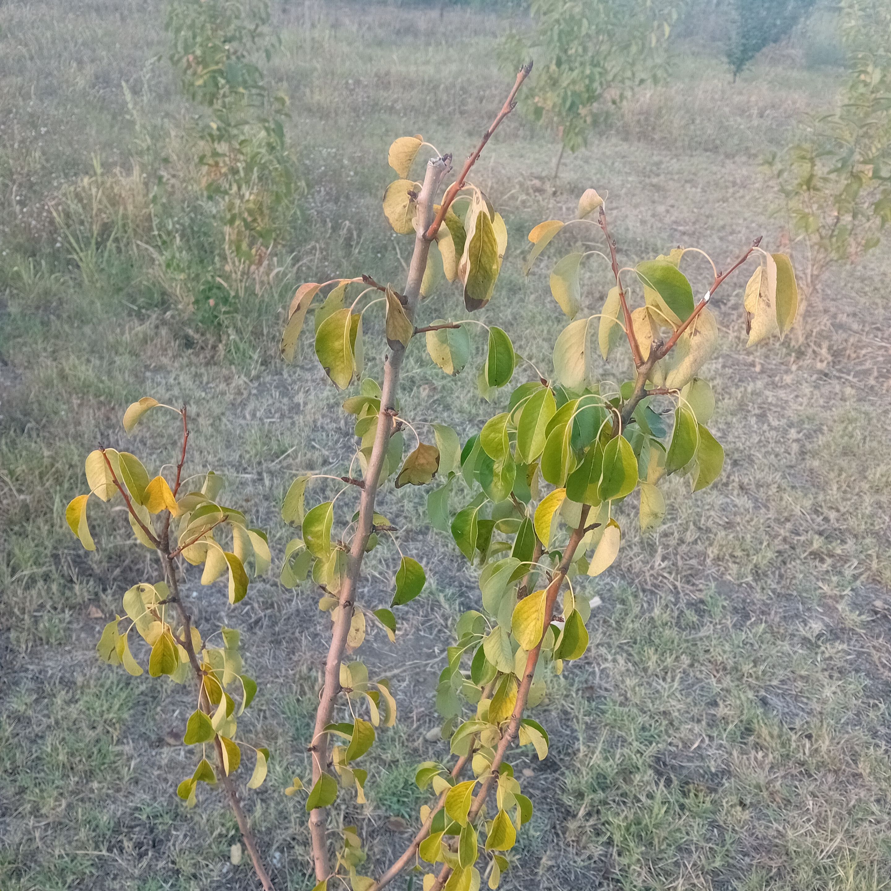 20250905_183539.jpg