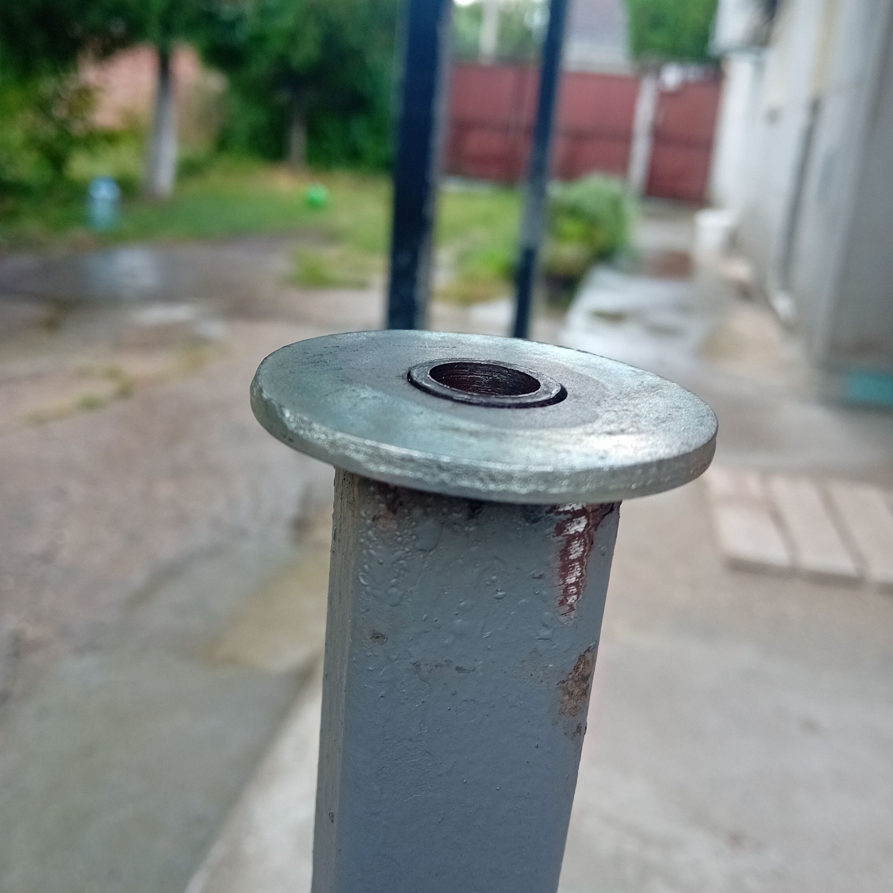 20250727_114549.jpg