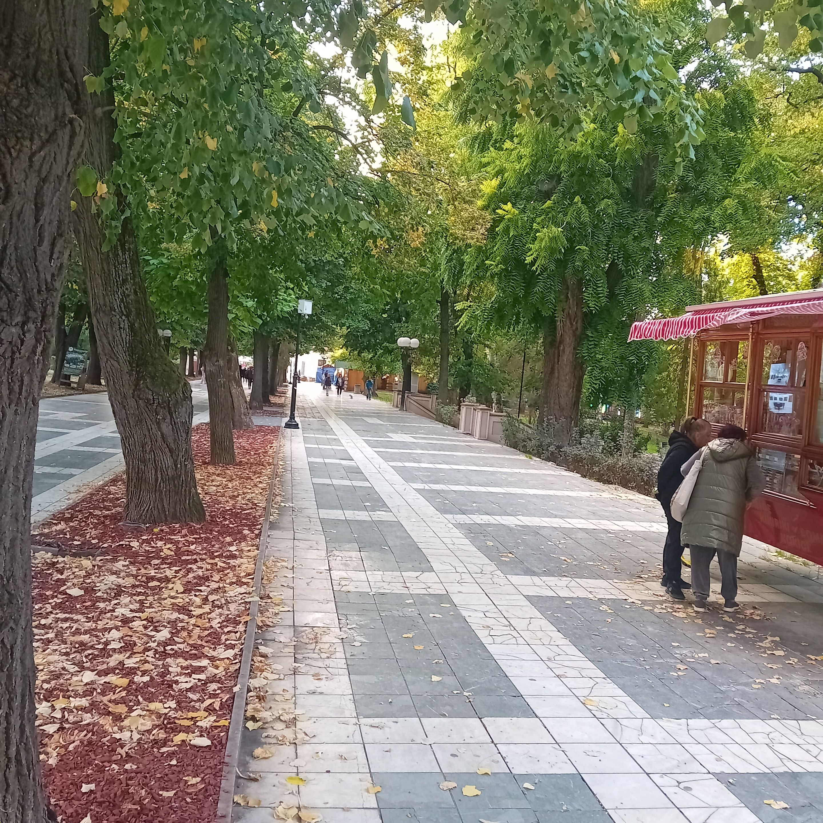 20250927_174039.jpg
