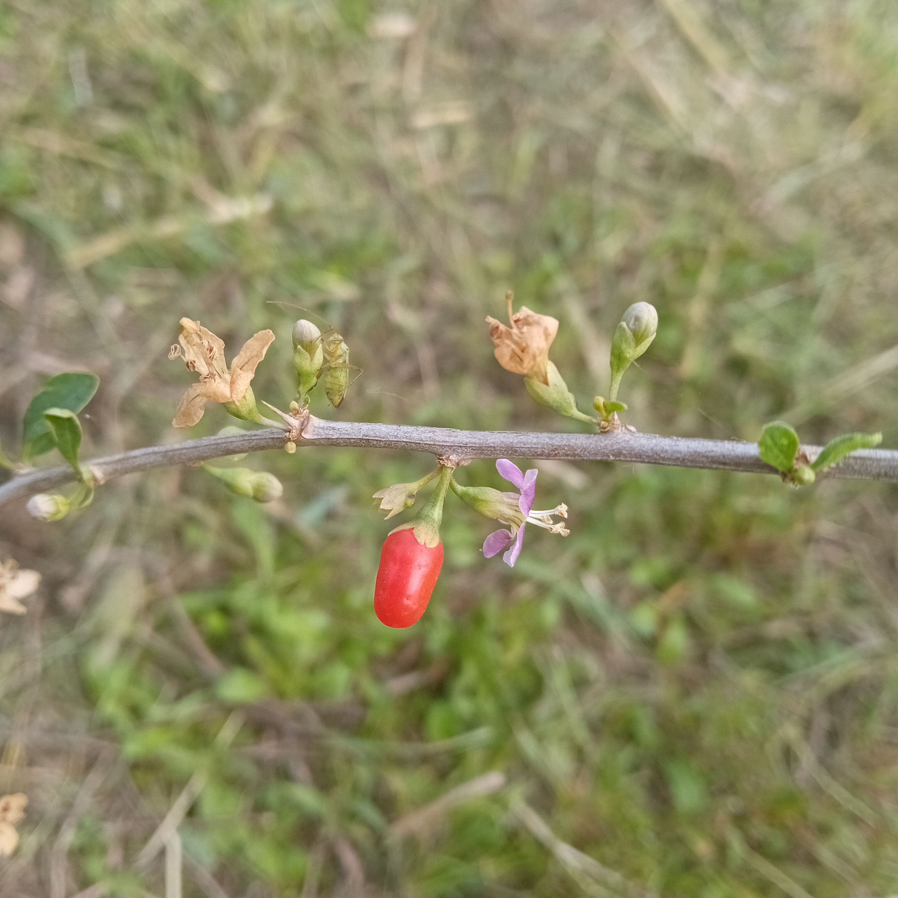 20250924_140440.jpg