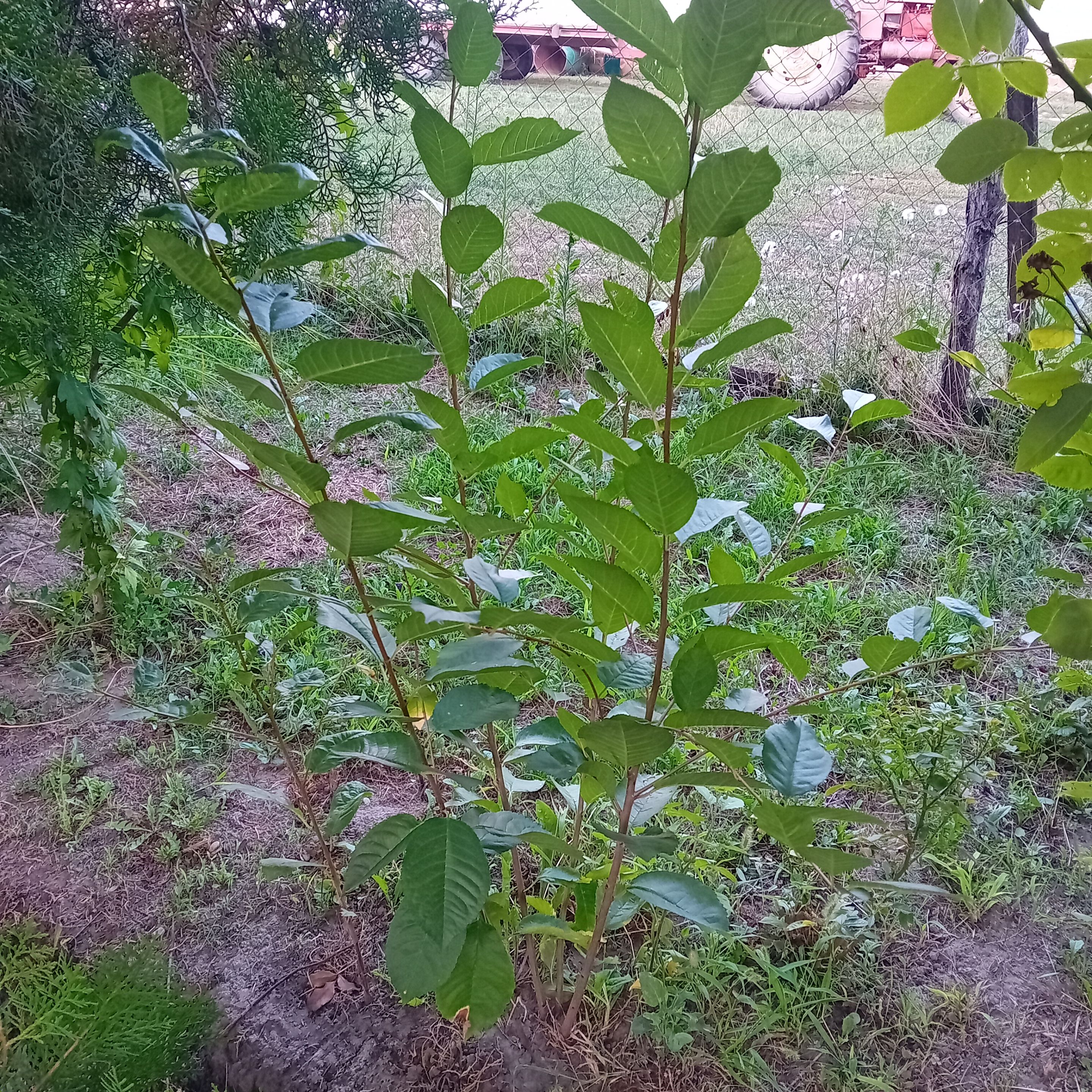 20250808_192940.jpg